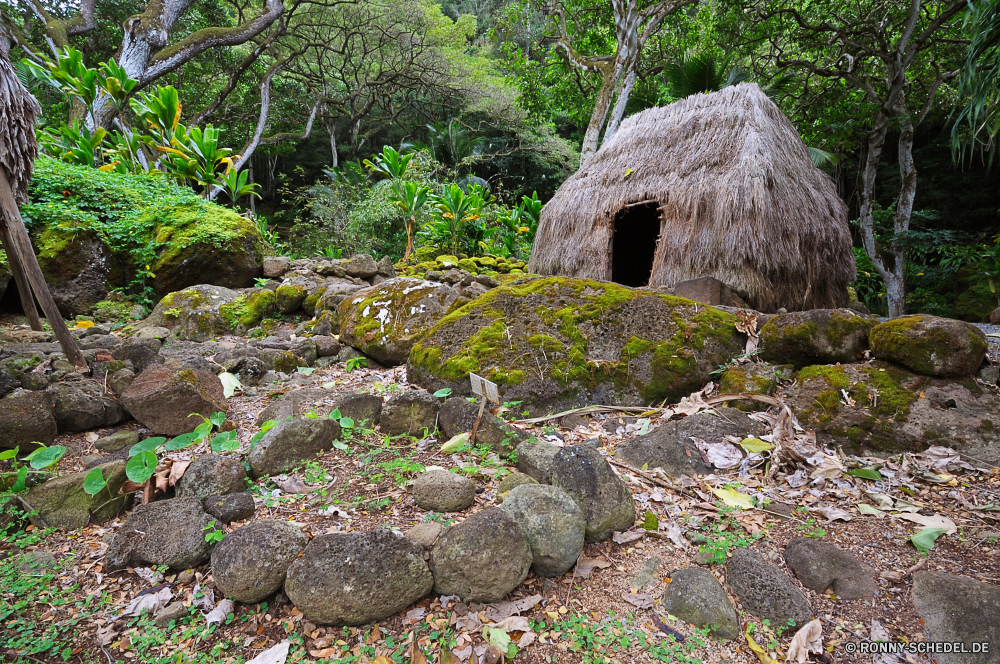 Waimea Valley Stroh Dach Schutzüberzug Bespannung Landschaft Hütte Gras Fels Wasser Baum Stein Reisen Entwicklung des ländlichen Holz Sommer im freien Fluss Haus Wald friedliche Szenerie alt Berg Himmel im freien Bäume Tourismus Park landschaftlich Umgebung Hügel Urlaub Pflanze natürliche Gebäude Dorf Frühling Bauernhof aus Holz Felsen Land Blätter Strand Tropischer Berge Insel Landschaft ruhige Steine Meer Architektur Feld traditionelle Küste Wild Szene Bewuchs Entspannen Sie sich Ozean Ruhe Landwirtschaft Sand Hövel außerhalb Kiefer Obdach Umwelt- Struktur thatch roof protective covering covering landscape hut grass rock water tree stone travel rural wood summer outdoors river house forest peaceful scenery old mountain sky outdoor trees tourism park scenic environment hill vacation plant natural building village spring farm wooden rocks country leaves beach tropical mountains island countryside tranquil stones sea architecture field traditional coast wild scene vegetation relax ocean calm agriculture sand hovel outside pine shelter environmental structure