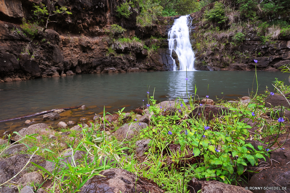 Waimea Valley Kanal Baum Fluss Landschaft Körper des Wassers Wasser Wald Park Stream See Pflanze Sumpf Bäume Berg ruhige Teich Wasserfall Sommer vascular plant Feuchtgebiet Umgebung Land im freien landschaftlich Frühling Reisen im freien Stein fallen Fels natürliche Reflexion Gras friedliche Szene Wild Himmel woody plant Herbst Moos Creek Tourismus Hölzer Blatt Felsen Holz Entwicklung des ländlichen Berge Kaskade Wildnis Belaubung bunte nass Garten Urlaub klar Strömung fällt Szenerie Blätter fließende Ruhe frisch Brücke gelassene idyllische Wolken Reinigen Landschaften Sonne Farbe entspannende Sonnenlicht Wasserpflanze Saison Reinheit Frieden nationalen Nationalpark Kraut Land üppige Wandern sonnig Ufer frische Luft Landschaft glatte gelb rasche seidige Tag Ruhe Bewegung außerhalb Busch Bereich Entspannung Pflanzen Ökologie Insel Drop Flora Weide channel tree river landscape body of water water forest park stream lake plant swamp trees mountain tranquil pond waterfall summer vascular plant wetland environment land outdoors scenic spring travel outdoor stone fall rock natural reflection grass peaceful scene wild sky woody plant autumn moss creek tourism woods leaf rocks wood rural mountains cascade wilderness foliage colorful wet garden vacation clear flow falls scenery leaves flowing calm fresh bridge serene idyllic clouds clean scenics sun color relaxing sunlight aquatic plant season purity peace national national park herb country lush hiking sunny shore freshness countryside smooth yellow rapid silky day tranquility motion outside bush area relaxation plants ecology island drop flora willow