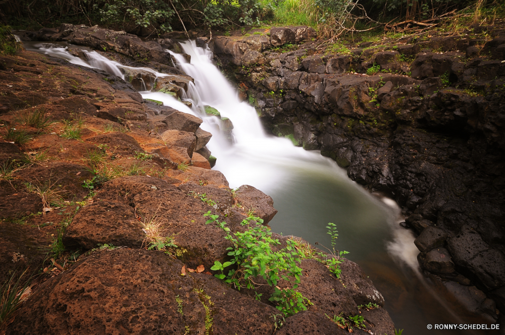 Hoopii Falls Fluss Wasserfall Wildnis Stream Fels Wald Wasser Kanal Landschaft Stein Kaskade Berg Park Körper des Wassers fallen Aufstieg Strömung im freien Felsen Umgebung landschaftlich im freien Creek Frühling fließende Bewegung Wild natürliche fällt Moos Baum Steigung friedliche Reisen platsch Szenerie fallen Berge glatte nationalen gelassene Sommer Wasserfälle frisch Bäume felsigen Tourismus nass Kühl Land Abenteuer Flüsse Steine Wanderung plantschen Wandern Ökologie Szene Erholung Erhaltung Blatt rasche Klippe Reinigen SWIFT ruhige erfrischende Belaubung Geschwindigkeit Ruhe Holz Hölzer Pflanze Kaskaden frische Luft Herbst Saison niemand Landschaften Schlucht Paradies reine Urlaub Bach üppige Harmonie Tal Himmel Frieden Küste Gras Stromschnellen Urlaub Meer Wanderweg leere verschwommen entspannende Drop Küstenlinie Entwicklung des ländlichen Ozean Blätter river waterfall wilderness stream rock forest water channel landscape stone cascade mountain park body of water fall ascent flow outdoor rocks environment scenic outdoors creek spring flowing motion wild natural falls moss tree slope peaceful travel splash scenery falling mountains smooth national serene summer waterfalls fresh trees rocky tourism wet cool country adventure rivers stones hike splashing hiking ecology scene recreation conservation leaf rapid cliff clean swift tranquil refreshing foliage speed calm wood woods plant cascades freshness autumn season nobody scenics canyon paradise pure vacation brook lush harmony valley sky peace coast grass rapids holiday sea trail empty blurred relaxing drop shoreline rural ocean leaves