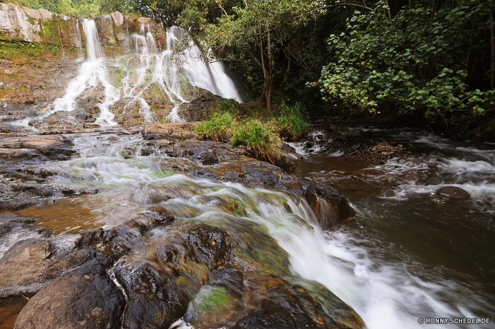 Hoopii Falls Fluss Wald Stream Kanal Wasser Wasserfall Fels Landschaft Körper des Wassers Stein Berg Creek Wildnis Park Moos fließende Umgebung im freien Strömung Frühling Baum Felsen Wild Kaskade Land Bewegung fallen natürliche Reisen im freien nass Bäume Berge Reinigen Drop frische Luft platsch Sommer Szenerie rasche Herbst landschaftlich frisch Steine glatte nationalen Eis Geschwindigkeit fallen Wandern Tourismus Szene friedliche ruhige Schlucht Belaubung fällt Ökologie Kristall üppige Hölzer Entwicklung des ländlichen Bewegung Flüsse steilen Saison felsigen Blätter Schlucht See geologische formation Kühl Landschaften klar Tal gelassene Tropischer SWIFT Wasserfälle Farben Postkarte Pflanze Blatt solide Stromschnellen Wildpflanze seidige Gras Abenteuer macht Holz Ruhe Frieden Urlaub natürliche depression Küste Klippe Tag kalt sonnig Fuß Erhaltung Garten erfrischend Bereich river forest stream channel water waterfall rock landscape body of water stone mountain creek wilderness park moss flowing environment outdoor flow spring tree rocks wild cascade land motion fall natural travel outdoors wet trees mountains clean drop freshness splash summer scenery rapid autumn scenic fresh stones smooth national ice speed falling hiking tourism scene peaceful tranquil ravine foliage falls ecology crystal lush woods rural movement rivers steep season rocky leaves canyon lake geological formation cool scenics clear valley serene tropical swift waterfalls colors postcard plant leaf solid rapids uncultivated silky grass adventure power wood calm peace vacation natural depression coast cliff day cold sunny walking conservation garden refreshment range