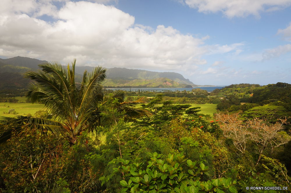 Kauai Baum Landschaft Pflanze woody plant Himmel vascular plant Gras Entwicklung des ländlichen Feld Sommer Hochland Berg Bauernhof Wald Landwirtschaft Wiese Landschaft Land Berge Umgebung landschaftlich Saison im freien Hügel Bäume Reisen Frühling im freien Szenerie Horizont Park Wolke Strauch Herbst natürliche Wolken Tag Sonne Szene Land Sonnenlicht sonnig Kraut Wildnis cabbage tree Tal Stechginster idyllische Blätter bewölkt Belaubung Landbau Wild Pflanzen ruhige Tourismus Ackerland Wachstum Weide Rasen fallen Flora Weingut Ernte Blatt hell Blume gelb friedliche Taglilie Farbe Felder Spitze Blumen Wasser Rebe Bewuchs Landschaften Panorama Abenteuer Ernte Wein Urlaub Kokosnuss Sonnenuntergang Fluss bunte Kiefer klar Grünland Obst Aussicht Strand außerhalb Wandern Panorama Traube Holz Sonnenschein Insel Reiner am Morgen Straße Küste Ufer saisonale tree landscape plant woody plant sky vascular plant grass rural field summer highland mountain farm forest agriculture meadow countryside country mountains environment scenic season outdoors hill trees travel spring outdoor scenery horizon park cloud shrub autumn natural clouds day sun scene land sunlight sunny herb wilderness cabbage tree valley gorse idyllic leaves cloudy foliage farming wild plants tranquil tourism farmland growth pasture lawn fall flora vineyard harvest leaf bright flower yellow peaceful day lily color fields peak flowers water vine vegetation scenics panorama adventure crop wine vacation coconut sunset river colorful pine clear grassland fruit vista beach outside hiking panoramic grape wood sunshine island plain morning road coast shore seasonal