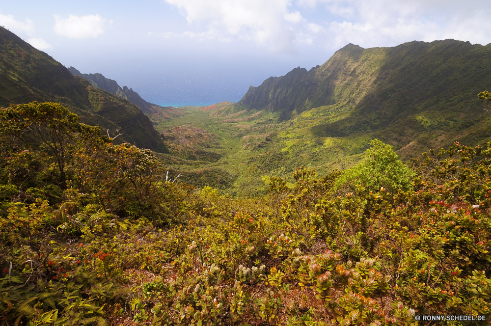 Kalalau Valley Landschaft Berg Stechginster Strauch Berge woody plant Wildnis Hochland Baum vascular plant Tal Wald Park Reisen Bereich nationalen Bäume Himmel Herbst Fluss Pflanze Fels im freien Tourismus landschaftlich fallen Szenerie Sommer im freien Wasser Schlucht Wolke See Hügel Wolken Umgebung Spitze Stein Wandern Gras Schnee Urlaub Szene natürliche Panorama Wild Wüste Frühling ruhige Saison bunte hoch gelb friedliche Hügel felsigen Hölzer außerhalb Tag Holz Tourist Wiese Reflexion Entwicklung des ländlichen Farbe Belaubung Wahrzeichen Sonne Schlucht Blätter Norden Landschaften Blatt Abenteuer gelassene Felsen bewölkt Orange Pflanzen Ruhe Landschaft Südwesten Alpine Busch Insel Straße Horizont Sonnenuntergang Kiefer landscape mountain gorse shrub mountains woody plant wilderness highland tree vascular plant valley forest park travel range national trees sky autumn river plant rock outdoors tourism scenic fall scenery summer outdoor water canyon cloud lake hill clouds environment peak stone hiking grass snow vacation scene natural panorama wild desert spring tranquil season colorful high yellow peaceful hills rocky woods outside day wood tourist meadow reflection rural color foliage landmark sun ravine leaves north scenics leaf adventure serene rocks cloudy orange plants calm countryside southwest alpine bush island road horizon sunset pine