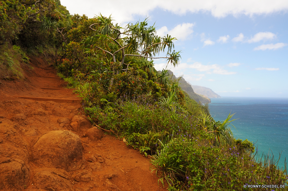 Kalalau Trail Baum woody plant Landschaft vascular plant Himmel Pflanze Sommer Gras Bäume Entwicklung des ländlichen Wolken echte Lorbeer Wald Umgebung landschaftlich Feld im freien im freien Berg Reisen Sonne Wolke Saison Horizont Tag sonnig Szenerie Wiese bewölkt Hügel Land Szene Tourismus Park Land Frühling natürliche Wild Berge Sand Strauch Landschaft Sonnenlicht Wildnis Urlaub Kiefer Blatt Bauernhof Strand Landwirtschaft Tropischer friedliche Garten ruhige Tal Weide Wolkengebilde Fels idyllische Farbe Wasser Blätter klar Abenteuer Rasen Palm Belaubung Ruhe Ozean Fluss Hügel Landschaften bunte außerhalb frisch Paradies Wüste Wetter Straße Küste Flora Knoll Herbst Meer Einsamkeit Reiner Pflanzen Insel Frieden gelb Sonnenuntergang Urlaub Wachstum tree woody plant landscape vascular plant sky plant summer grass trees rural clouds true laurel forest environment scenic field outdoor outdoors mountain travel sun cloud season horizon day sunny scenery meadow cloudy hill country scene tourism park land spring natural wild mountains sand shrub countryside sunlight wilderness vacation pine leaf farm beach agriculture tropical peaceful garden tranquil valley pasture cloudscape rock idyllic color water leaves clear adventure lawn palm foliage calm ocean river hills scenics colorful outside fresh paradise desert weather road coast flora knoll autumn sea solitude plain plants island peace yellow sunset holiday growth