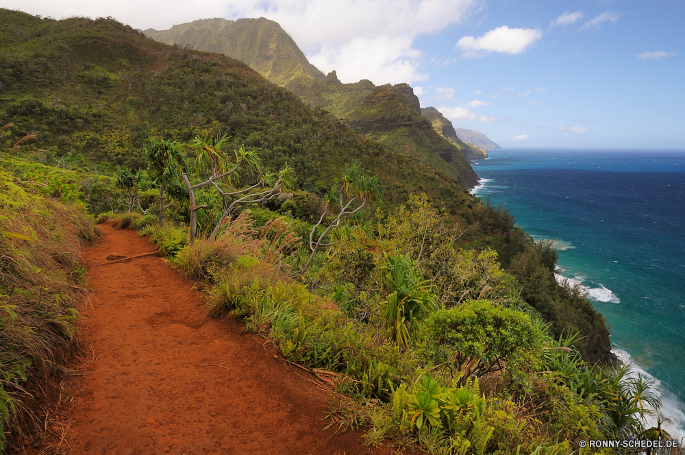 Kalalau Trail Vorgebirge natürliche Höhe geologische formation Meer Landschaft Küste Wasser Ozean Strand Berg Küste Himmel Baum Reisen Kap Klippe Insel Fels Ufer landschaftlich Urlaub Tourismus Sommer Küstenlinie Sonne Hügel Sand Wolke Urlaub Bucht Stein Berge Wald sonnig Horizont Wolken Felsen Szene Szenerie seelandschaft Park im freien Wellen Welle Tropischer Bäume Fluss Paradies im freien Gras Panorama Pflanze am Meer felsigen Tag ruhige Wetter Ziel Land Klippen Küste Pazifik Wildnis See Tourist Sonnenuntergang Sonnenlicht Lagune England Stadt nationalen promontory natural elevation geological formation sea landscape coast water ocean beach mountain coastline sky tree travel cape cliff island rock shore scenic vacation tourism summer shoreline sun hill sand cloud holiday bay stone mountains forest sunny horizon clouds rocks scene scenery seascape park outdoor waves wave tropical trees river paradise outdoors grass panorama plant seaside rocky day tranquil weather destination land cliffs coastal pacific wilderness lake tourist sunset sunlight lagoon england city national