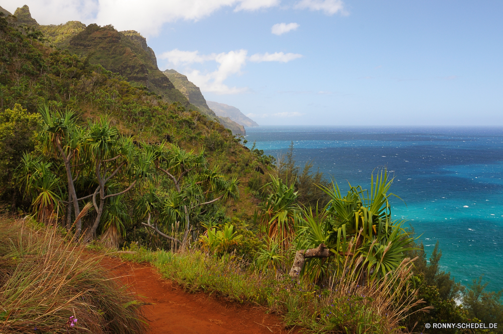 Kalalau Trail Vorgebirge natürliche Höhe geologische formation Kap Landschaft Ozean Meer Wasser Küste Baum Himmel Ufer Strand Berg Küstenlinie Küste Reisen Fels Sommer landschaftlich Fluss Berge Sand im freien Tourismus Urlaub Wolke Hügel Wald See sonnig Wolken Wellen Sonne Insel Bäume Gras Felsen Park Klippe Horizont im freien Szenerie Sonnenuntergang seelandschaft Pflanze Welle felsigen Panorama Tropischer am See Pazifik Wild Wildnis Szene Körper des Wassers Urlaub Stein ruhige Küste Tag Bucht Sonnenschein Herbst Klippen Westen Surf Teich Landschaften Sonnenaufgang Umgebung friedliche Ruhe Reflexion Wetter Frühling promontory natural elevation geological formation cape landscape ocean sea water coast tree sky shore beach mountain shoreline coastline travel rock summer scenic river mountains sand outdoor tourism vacation cloud hill forest lake sunny clouds waves sun island trees grass rocks park cliff horizon outdoors scenery sunset seascape plant wave rocky panorama tropical lakeside pacific wild wilderness scene body of water holiday stone tranquil coastal day bay sunshine autumn cliffs west surf pond scenics sunrise environment peaceful calm reflection weather spring