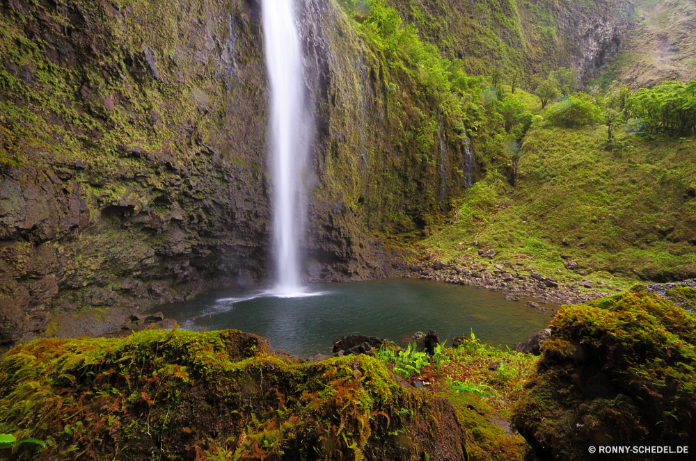 Hanakapai Falls Wasserfall Frühling Fluss Stream geologische formation heißer Frühling Wasser Fels Wald Geysir Kaskade fällt Landschaft Stein Wildnis Park Strömung Berg Umgebung Reisen fallen fließende Wild Baum Moos Felsen im freien platsch Brunnen Creek nass natürliche fallen Bewegung im freien Sommer Wasserfälle friedliche landschaftlich Tourismus frisch Berge Kühl Szenerie Blatt Struktur gelassene Bäume glatte nationalen Ökologie Steine rasche felsigen ruhige Flüsse Reinigen Bach Hölzer Abenteuer Pflanze Drop Holz Erhaltung Belaubung See Stromschnellen SWIFT hoch Tropischer Geschwindigkeit Frieden frische Luft Wanderung plantschen gischt klar Kanal entspannende Erholung Sonnenlicht Kaskaden Pazifischer Nordwesten Land Dschungel Szene erfrischende idyllische macht Urlaub Körper des Wassers Herbst Schlucht üppige Wandern Extreme Himmel Entspannen Sie sich Garten Regen Entspannung Paradies reine Reinheit erfrischend Schlucht Tag Saison waterfall spring river stream geological formation hot spring water rock forest geyser cascade falls landscape stone wilderness park flow mountain environment travel fall flowing wild tree moss rocks outdoor splash fountain creek wet natural falling motion outdoors summer waterfalls peaceful scenic tourism fresh mountains cool scenery leaf structure serene trees smooth national ecology stones rapid rocky tranquil rivers clean brook woods adventure plant drop wood conservation foliage lake rapids swift high tropical speed peace freshness hike splashing spray clear channel relaxing recreation sunlight cascades pacific northwest country jungle scene refreshing idyllic power vacation body of water autumn ravine lush hiking extreme sky relax garden rain relaxation paradise pure purity refreshment canyon day season