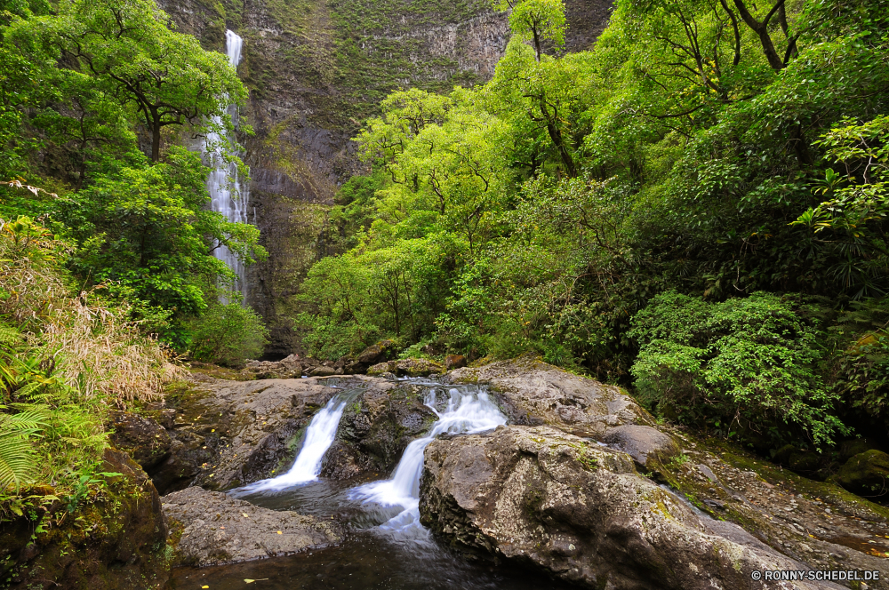 Hanakapai Falls Wald Baum Fluss Landschaft Wasser Berg Fels Wasserfall Stream Stein Bäume woody plant Park im freien Wildnis fallen Moos Creek im freien Hölzer Kanal Frühling vascular plant landschaftlich Kaskade fließende Herbst Pflanze Blätter Umgebung Belaubung Land Sommer Wild Schlucht Berge Strömung natürliche Felsen nass Körper des Wassers friedliche Reisen Gras Szenerie Wandern southern beech Holz platsch Blatt Bewegung Tag Tal Szene rasche See ruhige Entwicklung des ländlichen üppige frische Luft frisch Frieden Landschaft Saison Tourismus Land gelassene Wanderung klar Steine bunte Reinigen felsigen Aufstieg Himmel Schlucht Pfad Ruhe Drop nationalen Straße Farben Garten fallen kalt niemand glatte am Morgen Erholung Sonne gelb Bach Ahorn Wanderweg Brücke Landschaften Klippe Urlaub Ökologie Kiefer Tourist forest tree river landscape water mountain rock waterfall stream stone trees woody plant park outdoor wilderness fall moss creek outdoors woods channel spring vascular plant scenic cascade flowing autumn plant leaves environment foliage land summer wild canyon mountains flow natural rocks wet body of water peaceful travel grass scenery hiking southern beech wood splash leaf motion day valley scene rapid lake tranquil rural lush freshness fresh peace countryside season tourism country serene hike clear stones colorful clean rocky ascent sky ravine path calm drop national road colors garden falling cold nobody smooth morning recreation sun yellow brook maple trail bridge scenics cliff vacation ecology pine tourist