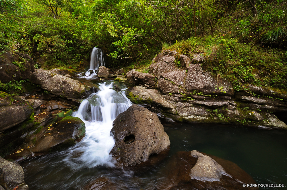 Hanakapai Falls Fluss Wasser Kanal Stream Wald Wasserfall Landschaft Fels Körper des Wassers Berg Stein Felsen Creek Baum im freien Park Wild Strömung fallen Umgebung fließende Frühling Bäume Moos landschaftlich natürliche friedliche Szenerie Kaskade platsch Reisen Bewegung Sommer Wildnis im freien Berge Höhle nass geologische formation Herbst felsigen Reinigen fällt Tourismus Steine fallen Drop nationalen frisch glatte Tag gelassene See rasche Wandern Saison Blatt frische Luft Blätter sonnig Belaubung ruhige Land Schlucht Szene Frieden Land üppige klar Hölzer Gras Erhaltung Ufer Ökologie Ruhe Klippe Kühl Wasserfälle Entwicklung des ländlichen Pflanze Abenteuer Holz entspannende Schlucht Erholung Bach Flüsse hoch Farbe Flüssigkeit Garten Tropischer Himmel Bewegung Struktur Tal Geschwindigkeit river water channel stream forest waterfall landscape rock body of water mountain stone rocks creek tree outdoor park wild flow fall environment flowing spring trees moss scenic natural peaceful scenery cascade splash travel motion summer wilderness outdoors mountains cave wet geological formation autumn rocky clean falls tourism stones falling drop national fresh smooth day serene lake rapid hiking season leaf freshness leaves sunny foliage tranquil country canyon scene peace land lush clear woods grass conservation shore ecology calm cliff cool waterfalls rural plant adventure wood relaxing ravine recreation brook rivers high color fluid garden tropical sky movement structure valley speed