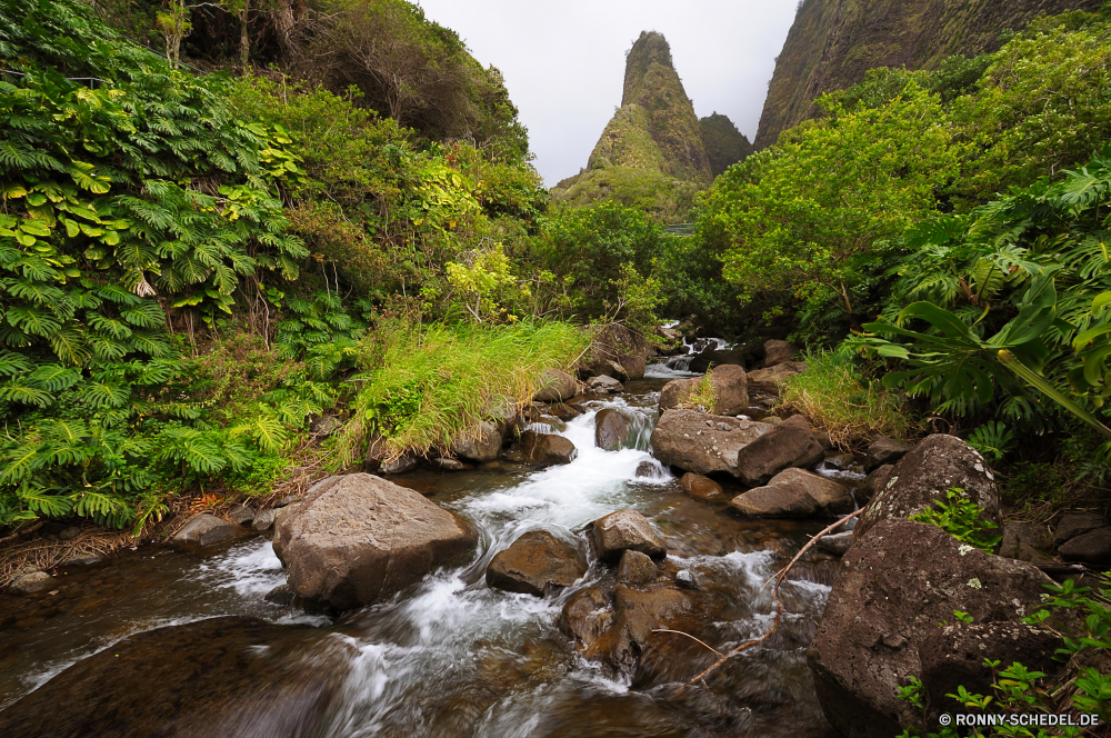 Iao Valley Wildnis Landschaft Fluss Baum Berg Wald Wasser Berge Fels Stream Stein Himmel Bäume im freien Kanal Park Reisen landschaftlich Felsen im freien Szenerie Umgebung Wild woody plant natürliche Sommer Hügel Körper des Wassers Frühling Tal Pflanze Aufstieg Creek Gras Wolken Entwicklung des ländlichen Tourismus Szene Steigung Hölzer Tag vascular plant Strömung friedliche fallen Wasserfall nationalen Herbst Schlucht Belaubung Landschaft Straße Hochland Land frisch hoch außerhalb Land See Kiefer Feld Mauer ruhige Klippe üppige Saison Holz Grat Kaskade Wandern Antike Wolke Steine fließende Blätter klar Moos Landschaften Panorama Pfad frische Luft Garten Tourist Ruhe Frieden Bereich Wiese Blatt niemand Schlucht wilderness landscape river tree mountain forest water mountains rock stream stone sky trees outdoor channel park travel scenic rocks outdoors scenery environment wild woody plant natural summer hill body of water spring valley plant ascent creek grass clouds rural tourism scene slope woods day vascular plant flow peaceful fall waterfall national autumn canyon foliage countryside road highland country fresh high outside land lake pine field wall tranquil cliff lush season wood ridge cascade hiking ancient cloud stones flowing leaves clear moss scenics panorama path freshness garden tourist calm peace range meadow leaf nobody ravine