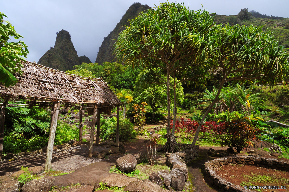 Iao Valley Baum woody plant vascular plant Stroh Dach Pflanze Landschaft Reisen Gras Schutzüberzug Architektur Stein Sommer Haus Garten Gebäude Entwicklung des ländlichen Tourismus Antike Berg Wald alt Bäume Himmel Tropischer Bespannung im freien Fels Park im freien Pflanzen historischen Tempel Geschichte Urlaub Dorf Ziel Feld Holz Wahrzeichen Insel Startseite Denkmal Kultur friedliche Szenerie Land Hütte Szene Pfad Frühling natürliche Stadt Tourist Straße aus Holz landschaftlich Wasser Wandern zu Fuß Hügel traditionelle Religion Mauer Ruine Dschungel Wolke Busch Wolken Felsen Landschaft ruhige Urlaub Landwirtschaft tree woody plant vascular plant thatch roof plant landscape travel grass protective covering architecture stone summer house garden building rural tourism ancient mountain forest old trees sky tropical covering outdoors rock park outdoor plants historic temple history vacation village destination field wood landmark island home monument culture peaceful scenery country hut scene path spring natural city tourist road wooden scenic water hiking walk hill traditional religion wall ruins jungle cloud bush clouds rocks countryside tranquil holiday agriculture