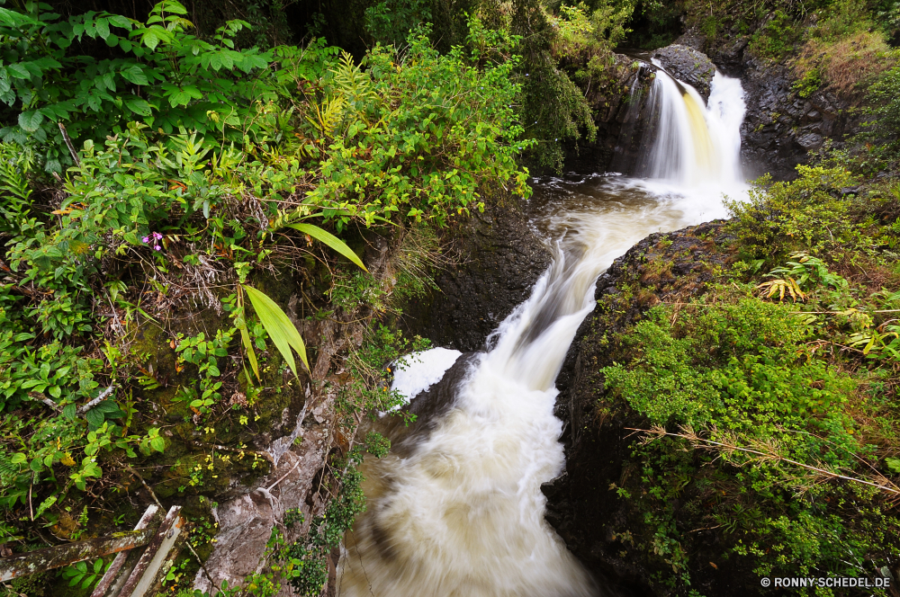 Pipiwai Trail Wasserfall Fluss Stream Wald Wasser Landschaft Stein Fels Kaskade Baum Strömung Umgebung fällt fallen fließende Berg Park Felsen Frühling im freien Creek Bewegung Wild im freien landschaftlich Moos friedliche Wildnis platsch Sommer fallen Reisen natürliche nass rasche glatte Kanal Berge Bäume Pflanze frisch gelassene Blatt Körper des Wassers Szenerie Belaubung felsigen Hölzer Tourismus Kühl ruhige Wasserfälle Reinigen frische Luft vascular plant woody plant Wanderung plantschen Wandern Abenteuer Steine Erhaltung Szene Ökologie nationalen Flüsse Geschwindigkeit üppige Erholung Land Hund Ruhe Saison entspannende Holz klar Schlucht kalt See Frieden niemand Kaskaden Bach Hundeartige erfrischende Schlucht Harmonie reine Stromschnellen SWIFT Felsblock Urlaub Dschungel Herbst Tropischer erfrischend Sonnenlicht Farbe Gras Teich Schwimmbad Tag verschwommen Landschaften Paradies Pflanzen Drop Jagdhund idyllische Entwicklung des ländlichen Blätter waterfall river stream forest water landscape stone rock cascade tree flow environment falls fall flowing mountain park rocks spring outdoor creek motion wild outdoors scenic moss peaceful wilderness splash summer falling travel natural wet rapid smooth channel mountains trees plant fresh serene leaf body of water scenery foliage rocky woods tourism cool tranquil waterfalls clean freshness vascular plant woody plant hike splashing hiking adventure stones conservation scene ecology national rivers speed lush recreation country dog calm season relaxing wood clear canyon cold lake peace nobody cascades brook canine refreshing ravine harmony pure rapids swift boulder vacation jungle autumn tropical refreshment sunlight color grass pond pool day blurred scenics paradise plants drop hunting dog idyllic rural leaves