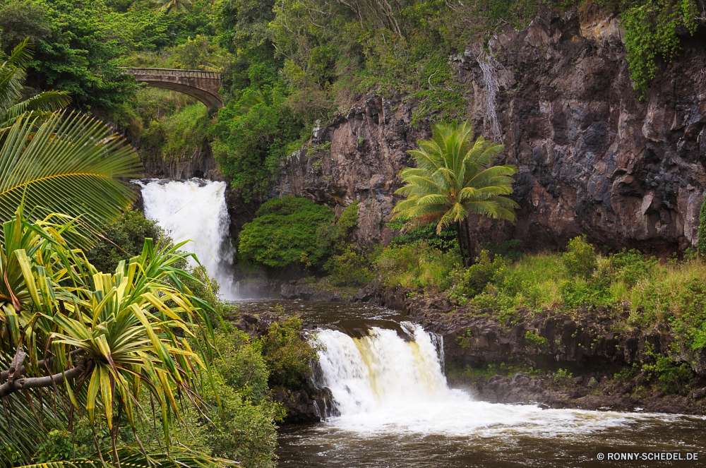 Seven Pools Fluss Wasserfall Stream Kanal Wasser Wildnis Wald Körper des Wassers Landschaft Fels Baum Stein Berg Park Kaskade Creek fließende Umgebung Felsen fallen Strömung fällt Reisen Moos im freien Frühling Wild Bewegung landschaftlich Bäume im freien Tourismus Sommer Berge friedliche platsch nass natürliche Wasserfälle fallen ruhige Szenerie Steine nationalen Pflanze Hölzer Schlucht Herbst rasche Belaubung Schlucht frische Luft Blatt felsigen frisch Reinigen Szene See glatte Kühl gelassene Tropischer üppige Ökologie Geschwindigkeit Flüsse Tal Drop plantschen Wandern Abenteuer Paradies Bach woody plant Klippe Ruhe Land Dam SWIFT Entwicklung des ländlichen Wanderung Dschungel Teich Tag Erhaltung Barrier Holz Himmel Frieden entspannende erfrischend Erholung Struktur Schwall Saison vascular plant gischt Schwimmbad Garten Farbe Brunnen Land Blätter river waterfall stream channel water wilderness forest body of water landscape rock tree stone mountain park cascade creek flowing environment rocks fall flow falls travel moss outdoor spring wild motion scenic trees outdoors tourism summer mountains peaceful splash wet natural waterfalls falling tranquil scenery stones national plant woods canyon autumn rapid foliage ravine freshness leaf rocky fresh clean scene lake smooth cool serene tropical lush ecology speed rivers valley drop splashing hiking adventure paradise brook woody plant cliff calm land dam swift rural hike jungle pond day conservation barrier wood sky peace relaxing refreshment recreation structure torrent season vascular plant spray pool garden color fountain country leaves