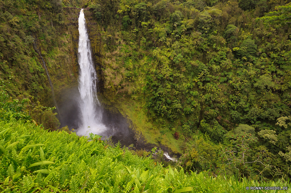 Akaka Falls Wasserfall Fluss Stream Wasser Fels Wildnis Wald Kaskade Landschaft Stein fällt Berg fließende Park Brunnen Baum fallen im freien Umgebung Reisen Frühling Strömung Moos Sommer Wild Felsen im freien Bewegung fallen platsch Creek nass natürliche Berge Tourismus friedliche landschaftlich Wasserfälle rasche Kühl Struktur frisch glatte Szenerie Blatt Pflanze Bäume ruhige gelassene Reinigen Szene plantschen Belaubung Geschwindigkeit Kaskaden Drop üppige Abenteuer Steine See frische Luft Hölzer klar Tropischer Ökologie Frieden nationalen felsigen macht entspannende Stromschnellen Flüsse Erholung Extreme erfrischende Erhaltung Sprinkler Paradies Holz Bach Teich hoch Schlucht Reinheit erfrischend Urlaub SWIFT Land Tal Herbst Wanderung gischt Tag Himmel Entspannung mechanisches Gerät Ruhe Sonnenlicht Murmeln Schlucht vertikale Dschungel Flüssigkeit kalt Bereich idyllische Klippe reine lange Sanitär-Befestigung Gras waterfall river stream water rock wilderness forest cascade landscape stone falls mountain flowing park fountain tree fall outdoor environment travel spring flow moss summer wild rocks outdoors motion falling splash creek wet natural mountains tourism peaceful scenic waterfalls rapid cool structure fresh smooth scenery leaf plant trees tranquil serene clean scene splashing foliage speed cascades drop lush adventure stones lake freshness woods clear tropical ecology peace national rocky power relaxing rapids rivers recreation extreme refreshing conservation sprinkler paradise wood brook pond high canyon purity refreshment vacation swift country valley autumn hike spray day sky relaxation mechanical device calm sunlight murmur ravine vertical jungle fluid cold area idyllic cliff pure long plumbing fixture grass