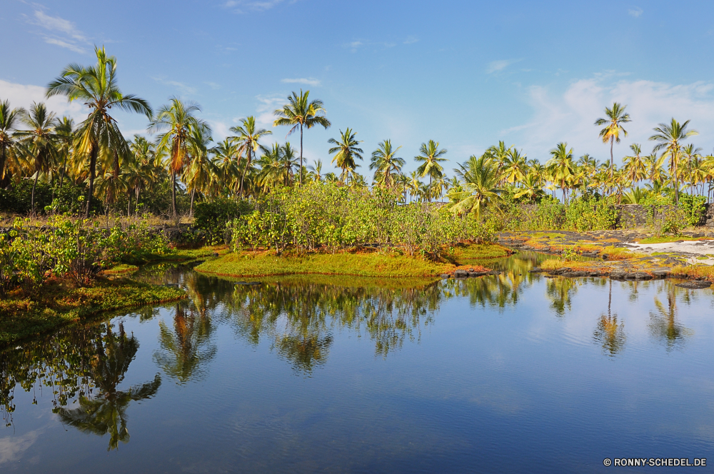 Puuhonua o Honaunau National Park Sumpf Feuchtgebiet Baum Land Landschaft See Wasser Himmel Reflexion Sommer Wald Fluss Bäume Teich Park Reisen Pflanze Gras Sonne woody plant white mangrove ruhige Ruhe sonnig im freien Urlaub Wolken landschaftlich im freien Szenerie Frühling Entwicklung des ländlichen Ufer Umgebung Wolke Saison Tourismus Blatt natürliche idyllische Holz vascular plant Meer Insel friedliche Küste Ozean Szene Hölzer Strand Kokosnuss Sonnenuntergang Palm Entspannung Berg Urlaub Landschaft Farbe Frieden Wiese gelb Wild Resort Tropischer Berge Flora Sonnenlicht Landschaften Paradies Tag Stein Horizont Wildnis Land Blätter Sand klar Bucht bunte gelassene Entspannen Sie sich Garten Feld Belaubung Kiefer am Morgen Herbst Fels Lagune Welle ruhig Schwimmbad Bewuchs Urlaub Rest Erholung hell swamp wetland tree land landscape lake water sky reflection summer forest river trees pond park travel plant grass sun woody plant white mangrove tranquil calm sunny outdoor vacation clouds scenic outdoors scenery spring rural shore environment cloud season tourism leaf natural idyllic wood vascular plant sea island peaceful coast ocean scene woods beach coconut sunset palm relaxation mountain holiday countryside color peace meadow yellow wild resort tropical mountains flora sunlight scenics paradise day stone horizon wilderness country leaves sand clear bay colorful serene relax garden field foliage pine morning autumn rock lagoon wave quiet pool vegetation vacations rest recreation bright