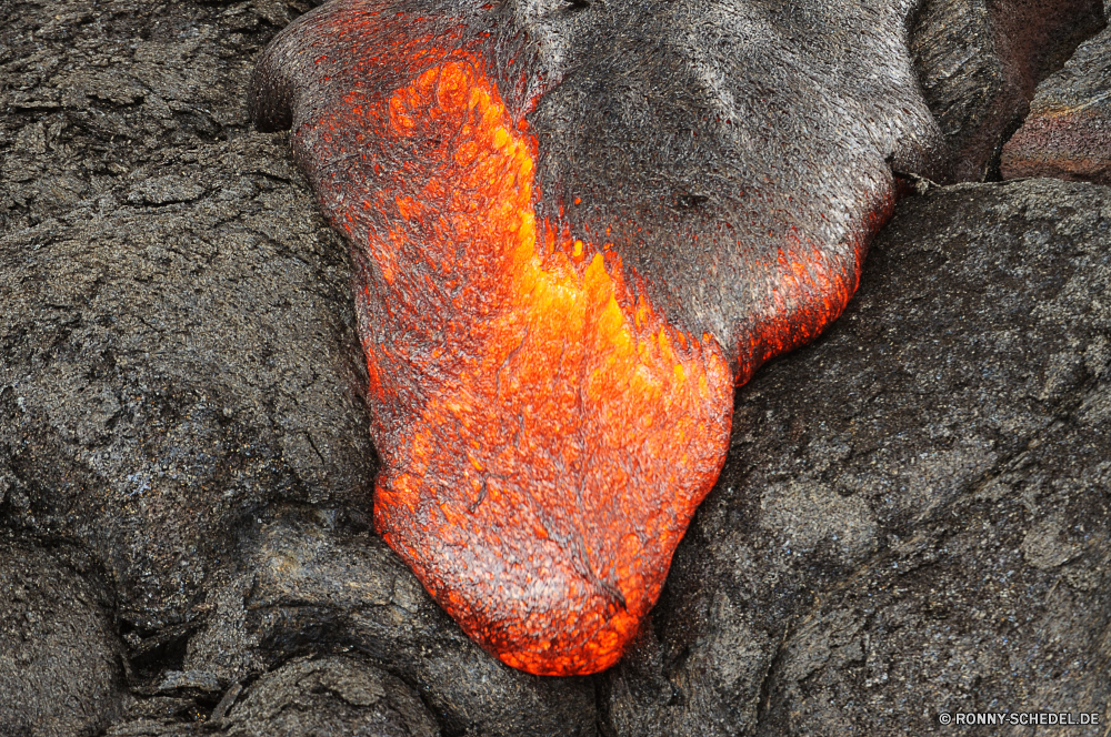 Lava Seestern Vulkan Stachelhäuter Berg Wirbellose natürliche Höhe Tier Flamme geologische formation Feuer Wärme heiß Orange Brennen Wasser Fisch Brennen Licht Textur Gefahr gelb closeup Farbe Meer Sommer schwarz Essen Rauch Ozean Oberfläche Schließen Grill texturierte gefährliche bunte im freien frisch alt Kamin Fleisch Material Lagerfeuer Lagerfeuer Inferno Braun Wild Fels Kraftstoffpumpe Grill gegrillt Goldfisch Marine Energie warm natürliche Kunst aquatische Unterwasser Mauer Grunge rostige Holz Heiße Glut starfish volcano echinoderm mountain invertebrate natural elevation animal flame geological formation fire heat hot orange burn water fish burning light texture danger yellow closeup color sea summer black food smoke ocean surface close barbecue textured dangerous colorful outdoor fresh old fireplace meat material campfire bonfire inferno brown wild rock fuel grill grilled goldfish marine energy warm natural art aquatic underwater wall grunge rusty wood blaze