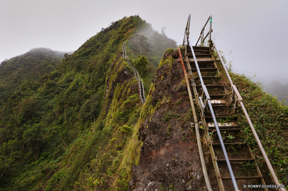 Haiku Stairs Track Landschaft Berg Himmel Steigung Aufstieg Schritt landschaftlich Baum Reisen Berge Hügel Sommer im freien Unterstützung Gerät Entwicklung des ländlichen Gras Szenerie Wolken Park im freien Wandern Landschaft Wolke Straße Wald Tourismus Herbst Land Fels Wasser Stein Bäume Umgebung Felsen sonnig Wildnis Meer Pflanze Küste Tal Klippe Fuß Antike Weingut Geschichte Landwirtschaft Landschaften Pfad Küste Brücke Bereich Fluss Tag Süden Feld historischen alt Wahrzeichen Urlaub Mauer Bauernhof Hochland Wanderung Wanderweg natürliche Szene Frühling Horizont Sonne Sonnenlicht Eisenbahn Eisenbahn Architektur niemand Art und Weise Zug in der Nähe Panorama Ozean Zaun Insel nationalen Turm Wiese Urlaub Blatt track landscape mountain sky slope ascent step scenic tree travel mountains hill summer outdoors support device rural grass scenery clouds park outdoor hiking countryside cloud road forest tourism autumn country rock water stone trees environment rocks sunny wilderness sea plant coast valley cliff walking ancient vineyard history agriculture scenics path coastline bridge range river day south field historic old landmark vacation wall farm highland hike trail natural scene spring horizon sun sunlight railroad railway architecture nobody way train near panorama ocean fence island national tower meadow holiday leaf