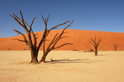 Namibia 2016