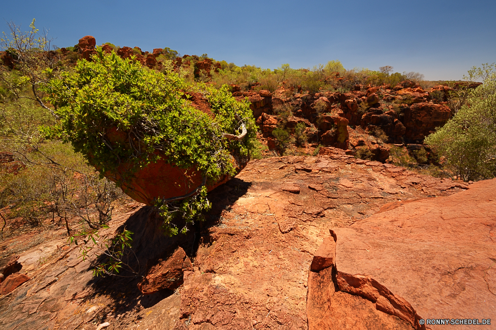 Waterberg Plateau Park Wüste Landschaft Kaktus Fels Berg Himmel Baum Schlucht Park Reisen nationalen landschaftlich Berge Sand Pflanze Klippe Stein Wolken im freien Südwesten Tal Tourismus im freien Wildnis Aushöhlung Szenerie Felsen trocken Urlaub natürliche Orange Abenteuer Westen vascular plant Sandstein Geologie Wandern Tourist woody plant Wald Mesa geologische Arid Hügel Wolke bunte gelb Fluss Entwicklung des ländlichen Land Landschaft Gras fallen Felge Bildung Saison Grand Herbst sonnig Sommer Wunder Bäume Bereich Straße Wahrzeichen Umgebung Hügel Braun Pflanzen Bereich Horizont Farbe Aussicht westliche Spitze entfernten Strauch Tag Landschaften Kraut Feld Belaubung Ringwall Sonne Sonnenuntergang Szene Gelände Wanderweg Bewuchs Zustand Panorama bewölkt Sonnenaufgang Boden Land desert landscape cactus rock mountain sky tree canyon park travel national scenic mountains sand plant cliff stone clouds outdoors southwest valley tourism outdoor wilderness erosion scenery rocks dry vacation natural orange adventure west vascular plant sandstone geology hiking tourist woody plant forest mesa geological arid hill cloud colorful yellow river rural land countryside grass fall rim formation season grand autumn sunny summer wonder trees area road landmark environment hills brown plants range horizon color vista western peak remote shrub day scenics herb field foliage rampart sun sunset scene terrain trail vegetation state panorama cloudy sunrise ground country