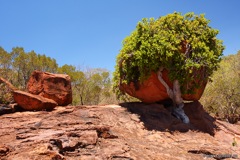 Waterberg Plateau Park Baum woody plant Landschaft bottle-tree Himmel vascular plant im freien Park landschaftlich Reisen Pflanze Szenerie Tourismus Wüste im freien Fels Schlucht Orange Bäume Berg fallen Herbst Saison Entwicklung des ländlichen Berge Wald Szene Sand bunte Landschaft Wildnis Sommer Gras Urlaub Tal Wolken Feld natürliche gelb Belaubung Land sonnig Kiefer Umgebung Felsen Farbe Land Wolke Pflanzen nationalen Sonnenuntergang Aushöhlung Blätter Eiche außerhalb Tag Stein Fluss Geologie Garten Eukalyptus Blatt trocken Holz Hain Tourist Klippe Hügel Wild Zweige Abenteuer coral tree Hügel Kürbis Boden Braun Licht geologische klar Meer Wandern Gum-Baum Entspannen Sie sich Sonne Süden Sonnenaufgang warm Wasser Insel Frieden Branch Schlucht Horizont Wiese hell Landwirtschaft tree woody plant landscape bottle-tree sky vascular plant outdoor park scenic travel plant scenery tourism desert outdoors rock canyon orange trees mountain fall autumn season rural mountains forest scene sand colorful countryside wilderness summer grass vacation valley clouds field natural yellow foliage country sunny pine environment rocks color land cloud plants national sunset erosion leaves oak outside day stone river geology garden eucalyptus leaf dry wood grove tourist cliff hills wild branches adventure coral tree hill pumpkin ground brown light geological clear sea hiking gum tree relax sun south sunrise warm water island peace branch ravine horizon meadow bright agriculture