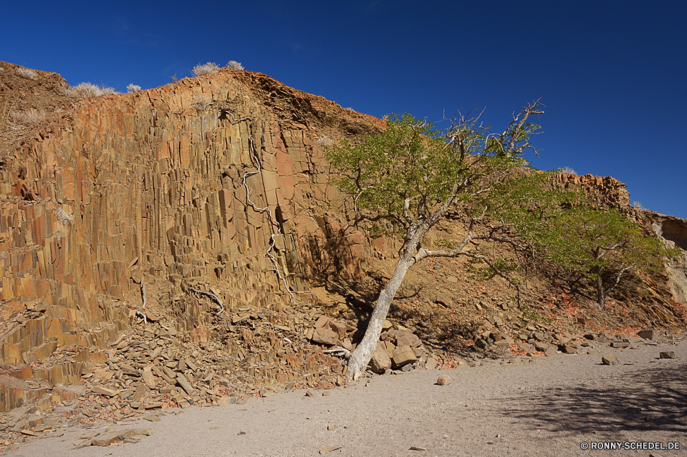 Orgelpfeifen Berg Landschaft Wüste Himmel Fels Wildnis Berge Schlucht Baum Reisen Sand Klippe Amaranth vascular plant Park Stein nationalen Hügel landschaftlich Tourismus Geologie geologische formation Wolken im freien Bereich Tal Pflanze trocken Kraut Steigung Aufstieg Felsen Land Spitze Vulkan Sommer natürliche Kaktus im freien Straße Szenerie Hochland Becken woody plant Wolke natürliche depression Knoll Sandstein Wild Sonne Szene Yucca karge Arid Aushöhlung Bildung Westen Panorama Wald Abenteuer Tag Strauch Umgebung Fluss Hügel Entwicklung des ländlichen felsigen Landschaften Süden heiß Wahrzeichen Urlaub Südwesten Land Gelände hoch Wandern Bereich Licht geologische niemand Grand sonnig außerhalb Wärme Insel Schnee Landschaft Tourist ruhige Farbe Horizont Sonnenuntergang Düne Sonnenlicht Gras mountain landscape desert sky rock wilderness mountains canyon tree travel sand cliff amaranth vascular plant park stone national hill scenic tourism geology geological formation clouds outdoors range valley plant dry herb slope ascent rocks land peak volcano summer natural cactus outdoor road scenery highland basin woody plant cloud natural depression knoll sandstone wild sun scene yucca barren arid erosion formation west panorama forest adventure day shrub environment river hills rural rocky scenics south hot landmark vacation southwest country terrain high hiking area light geological nobody grand sunny outside heat island snow countryside tourist tranquil color horizon sunset dune sunlight grass