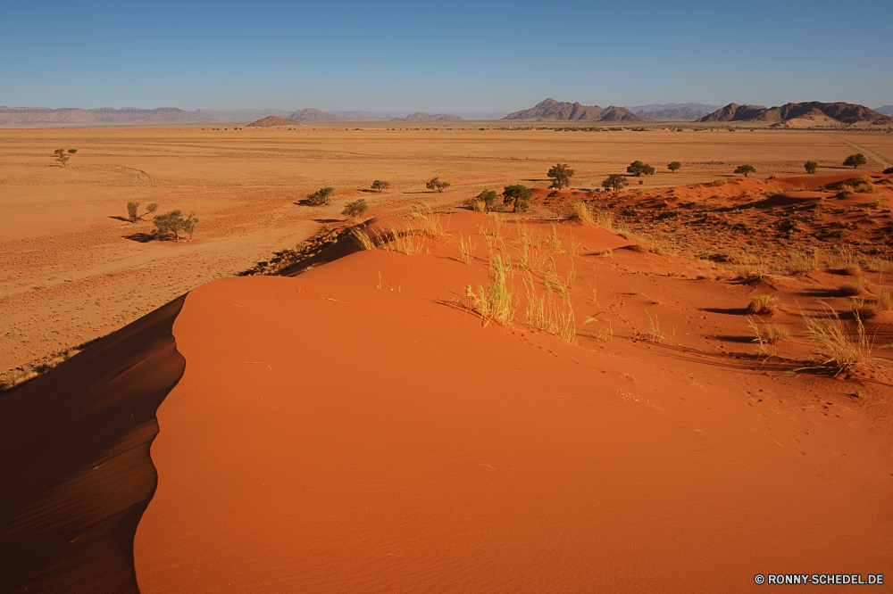 Elim Dune Düne Sand Wüste Landschaft Himmel Reisen trocken im freien Dünen Sommer Wärme heiß Sonne Boden Hügel Szenerie Tourismus Berg sandigen Wolken landschaftlich Orange sonnig Abenteuer Marokko gelb Arid Strand Extreme Horizont Land Gelände natürliche Erde Sonnenuntergang Fels Dürre Schatten Tal Urlaub Sonnenlicht Park Reise Wolke Exploration einsam Baum Sonnenaufgang im freien außerhalb Berge Ozean nationalen ERG Verwurzelung Klima Szene Wildnis Meer niemand Küste Hügel Safari ruhige Umgebung Pflanze Sanddüne Einsamkeit Land Schlucht Wild Panorama Welle welligkeit Panorama Sonnenschein Stein Feld Straße Wasser unwirtlichen wolkenlosen Tag Einsamkeit Tropischer bewölkt Wind warm friedliche Rau Tourist Gras dune sand desert landscape sky travel dry outdoor dunes summer heat hot sun soil hill scenery tourism mountain sandy clouds scenic orange sunny adventure morocco yellow arid beach extreme horizon land terrain natural earth sunset rock drought shadow valley vacation sunlight park journey cloud exploration lonely tree sunrise outdoors outside mountains ocean national erg desolate climate scene wilderness sea nobody coast hills safari tranquil environment plant sand dune loneliness country canyon wild panoramic wave ripple panorama sunshine stone field road water inhospitable cloudless day solitude tropical cloudy wind warm peaceful rough tourist grass