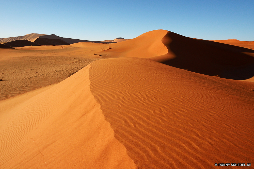 Sossusvlei Sand Düne Wüste Landschaft trocken Dünen Abenteuer heiß Reisen Wärme Marokko im freien Boden sandigen Sonne Himmel Sommer Hügel Orange Tourismus gelb Erde Dürre sonnig Arid Schatten Safari ERG Maroc Sanddüne Exploration Szenerie einsam Horizont Einsamkeit Extreme Darm-Trakt landschaftlich Panorama Verwurzelung Land Durst Rau Sonnenlicht unwirtlichen Gelände Panorama niemand erschöpft welligkeit Reise Welle natürliche wolkenlosen Einsamkeit Tal Wolken schmirgeln Sie Hügel rötlich Explorer Berg Urlaub Wildnis leere Muster schwül Trophäe Kamel außerhalb warm Park Umgebung im freien Drucke Wellen Fels Landschaften Klima Textur nationalen Tourist Sonnenuntergang Grat Schritte Tod Fuß Wind Sonnenschein allein sand dune desert landscape dry dunes adventure hot travel heat morocco outdoor soil sandy sun sky summer hill orange tourism yellow earth drought sunny arid shadow safari erg hummock sand dune exploration scenery lonely horizon loneliness extreme tract scenic panoramic desolate land thirst rough sunlight inhospitable terrain panorama nobody exhausted ripple journey wave natural cloudless solitude valley clouds sand hill reddish explorer mountain vacation wilderness empty pattern sultriness trophy camel outside warm park environment outdoors prints ripples rock scenics climate texture national tourist sunset ridge steps death foot wind sunshine alone