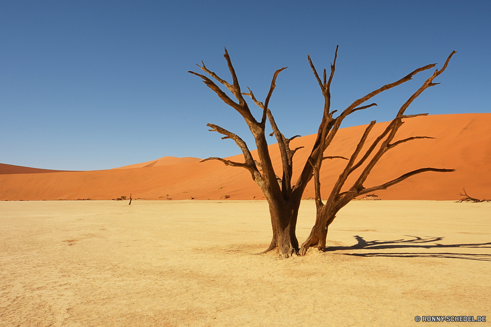 Sossusvlei Sand Düne Strand Boden Wüste Himmel Meer Landschaft Baum Ozean Einsamkeit Erde Sommer Reisen Horizont Küste Urlaub Wasser Tropischer Insel Sonne Wolke heiß Ufer Paradies Welle Tourismus Urlaub landschaftlich Palm trocken im freien sonnig Szenerie Küste Wolken im freien Sandbank Land Wärme Bucht Abenteuer Ziel Wellen natürliche Entspannen Sie sich Friedhof klar Pflanze Bar Umgebung sandigen einsam seelandschaft Tourist Dünen Sonnenlicht Surf Szene Resort Wildnis friedliche Freiheit exotische ruhige Arid Toten Pazifik Türkis Tag Barrier Grat Darm-Trakt gelassene Urlaub Entspannung Holz Ruhe Wetter Sonnenuntergang Bäume Berg am Meer Dürre Fels niemand Wendekreis außerhalb Klima idyllische Feld Kontur Boot Park aktive Schatten romantische Gras Frühling sand dune beach soil desert sky sea landscape tree ocean solitude earth summer travel horizon coast vacation water tropical island sun cloud hot shore paradise wave tourism holiday scenic palm dry outdoor sunny scenery coastline clouds outdoors sandbar land heat bay adventure destination waves natural relax cemetery clear plant bar environment sandy lonely seascape tourist dunes sunlight surf scene resort wilderness peaceful freedom exotic tranquil arid dead pacific turquoise day barrier ridge tract serene vacations relaxation wood calm weather sunset trees mountain seaside drought rock nobody tropic outside climate idyllic field silhouette boat park active shadow romantic grass spring