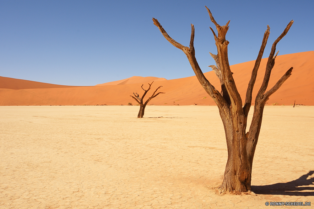 Sossusvlei Wüste Sand Düne Darm-Trakt Himmel Landschaft Strand Reisen Sommer Meer Boden Sonne sonnig Urlaub trocken Ozean Tourismus Friedhof heiß Einsamkeit Baum Szenerie Wärme Kaktus im freien Tropischer Wasser Horizont Küste Dünen im freien Abenteuer Orange Erde sandigen Wolken Arid Wolke landschaftlich Land Urlaub Welle außerhalb Insel Freiheit Sonnenlicht Berg Wildnis Küste Wind gelb Marokko Tal einsam Weizen natürliche Paradies Ufer gelassene Palm warm Menschen Tourist Schatten Verwurzelung Tag Urlaub Ziel Wellen cereal Pflanze Dürre Toten Safari springen Reise Hügel Freude friedliche Spaß aktive Fels Einsamkeit Szene niemand Tod Resort Entspannen Sie sich Entspannung glücklich ruhige Frauen Glück desert sand dune tract sky landscape beach travel summer sea soil sun sunny vacation dry ocean tourism cemetery hot solitude tree scenery heat cactus outdoor tropical water horizon coast dunes outdoors adventure orange earth sandy clouds arid cloud scenic land holiday wave outside island freedom sunlight mountain wilderness coastline wind yellow morocco valley lonely wheat natural paradise shore serene palm warm people tourist shadow desolate day vacations destination waves cereal plant drought dead safari jump journey hill joy peaceful fun active rock loneliness scene nobody death resort relax relaxation happy tranquil women happiness