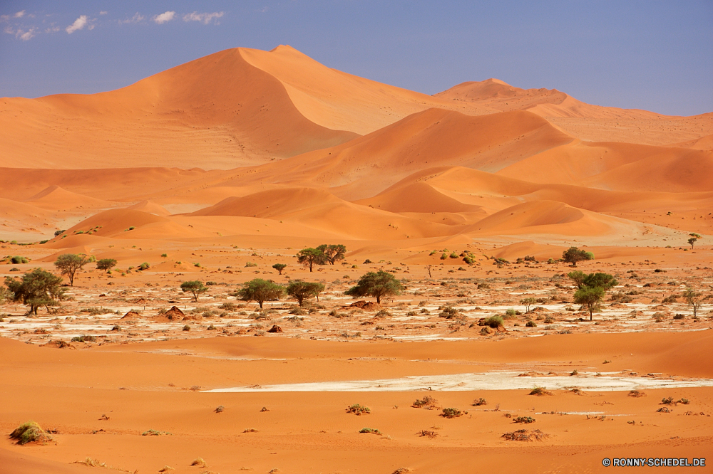 Sossusvlei Düne Sand Wüste Boden Landschaft Erde trocken Dünen Reisen Wärme Himmel im freien heiß Hügel Abenteuer Marokko Sonne sandigen Sommer Darm-Trakt Szenerie Orange Tourismus Schatten Arid sonnig gelb Horizont Fels landschaftlich Exploration ERG Dürre Park Tal Extreme Berg Land nationalen einsam Wolken Sanddüne Verwurzelung Einsamkeit Gelände Panorama Panorama Urlaub Maroc natürliche im freien Sonnenlicht niemand Umgebung wolkenlosen Safari Landschaften Wildnis Reise außerhalb Berge Rau unwirtlichen Durst Schlucht Welle Stein Hochland erschöpft Szene Landschaft Hügel klar Einsamkeit welligkeit Klima warm rötlich Explorer Schatten Schritte Wanderung Antike leere Tod Sonnenschein Land dune sand desert soil landscape earth dry dunes travel heat sky outdoor hot hill adventure morocco sun sandy summer tract scenery orange tourism shadow arid sunny yellow horizon rock scenic exploration erg drought park valley extreme mountain land national lonely clouds sand dune desolate loneliness terrain panoramic panorama vacation hummock natural outdoors sunlight nobody environment cloudless safari scenics wilderness journey outside mountains rough inhospitable thirst canyon wave stone highland exhausted scene countryside hills clear solitude ripple climate warm reddish explorer shadows steps hike ancient empty death sunshine country