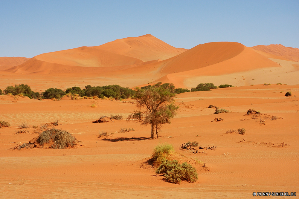 Sossusvlei Düne Sand Wüste Boden Erde Landschaft trocken Dünen Reisen Himmel Wärme heiß Sonne sandigen Abenteuer Marokko Orange sonnig Darm-Trakt im freien Sommer Tourismus Szenerie Arid Urlaub Schatten Hügel gelb einsam Horizont Exploration ERG Wolken Dürre Einsamkeit Sanddüne Welle Safari Extreme landschaftlich Land Verwurzelung Strand Panorama Reise Maroc Durst Berg warm unwirtlichen Rau Meer Gelände Ozean Sonnenlicht Tal welligkeit Wildnis niemand wolkenlosen erschöpft Einsamkeit Panorama natürliche Baum Park Küste Schritte Muster Fels Paradies Wasser Umgebung schmirgeln Sie Hügel Explorer Kamel klar Fuß Tropischer gelassene Ziel Wellen Insel im freien schwül rötlich Sands Urlaub Trophäe leere außerhalb Reise Küste Wind Sonnenschein Ufer Freiheit exotische Tourist nationalen Sonnenuntergang dune sand desert soil earth landscape dry dunes travel sky heat hot sun sandy adventure morocco orange sunny tract outdoor summer tourism scenery arid vacation shadow hill yellow lonely horizon exploration erg clouds drought loneliness sand dune wave safari extreme scenic land desolate beach panoramic journey hummock thirst mountain warm inhospitable rough sea terrain ocean sunlight valley ripple wilderness nobody cloudless exhausted solitude panorama natural tree park coast steps pattern rock paradise water environment sand hill explorer camel clear foot tropical serene destination waves island outdoors sultriness reddish sands holiday trophy empty outside trip coastline wind sunshine shore freedom exotic tourist national sunset