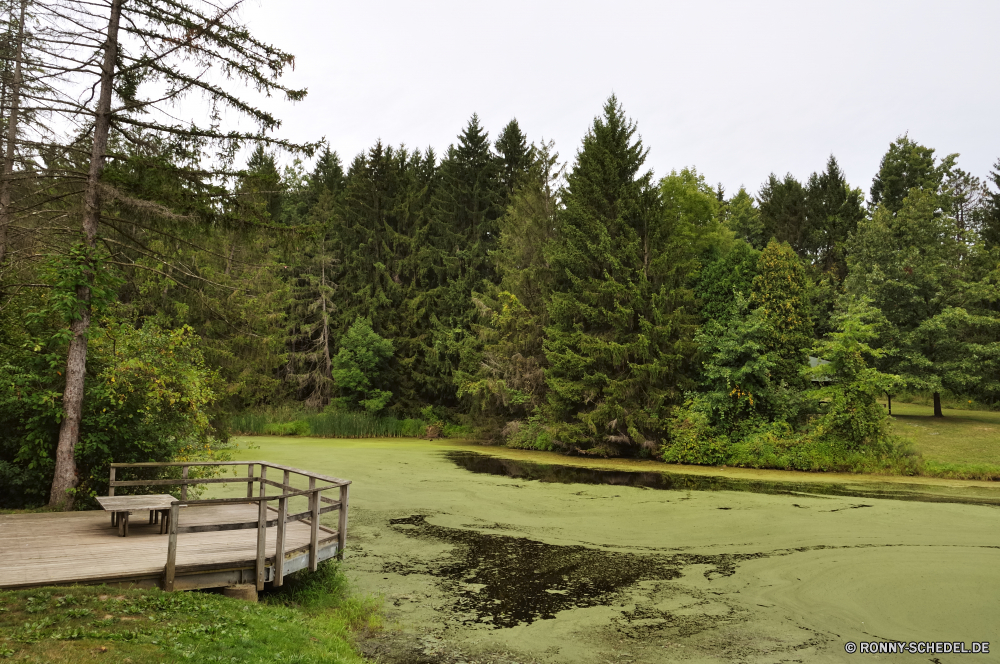 Cuyahoga National Park Baum Landschaft Parkbank Gras Sitzbank Wald Park Bäume Sitz woody plant Zaun Himmel Sommer Entwicklung des ländlichen Frühling im freien Fluss Holz Saison Feld Pflanze landschaftlich vascular plant Wasser See Ufer Wurm-Zaun Möbel Straße Sumpf Garten natürliche Wolken im freien Reisen Rasen Land Golf Land Szene Sonne Feuchtgebiet am See Zaun ruhige Wiese Hölzer Stream Pfad friedliche Landschaft fallen Barrier Erholung Herbst Blätter Belaubung Frieden Wetter Szenerie Umgebung Berge Ruhe echte Lorbeer Bauernhof Teich ruhig sonnig Art und Weise alt Freizeit Urlaub Sonnenlicht Berg aus Holz Urlaub Blatt Wolke Loch Kurs zu Fuß Stein Möblierung Pflanzen Licht Strand saisonale tree landscape park bench grass bench forest park trees seat woody plant fence sky summer rural spring outdoor river wood season field plant scenic vascular plant water lake shore worm fence furniture road swamp garden natural clouds outdoors travel lawn land golf country scene sun wetland lakeside rail fence tranquil meadow woods stream path peaceful countryside fall barrier recreation autumn leaves foliage peace weather scenery environment mountains calm true laurel farm pond quiet sunny way old leisure vacation sunlight mountain wooden holiday leaf cloud hole course walk stone furnishing plants light beach seasonal