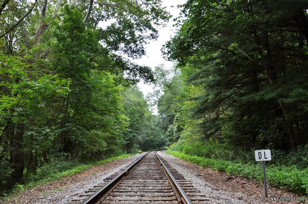 Cuyahoga National Park Track Eisenbahn Eisenbahn Zug Transport Schiene Reisen Straße Titel Schienen Bahnhof Industrie Krawatte Verkehr Art und Weise Stahl Entwicklung des ländlichen Landschaft Perspektive Wald Reise alt Pfad Bäume Gras im freien Sommer Baum im freien Metall geschweifte Klammer Berg Eisen Industrielle Linie Lokomotive Transit Tag Richtung Reise Geschwindigkeit Stein Landschaft Linien Verstärker Holz landschaftlich rostige sonnig Himmel Land Wanderweg Wandern Kabel Berge Horizont natürliche Fluss Kurve Kies weit Fracht Wanderung niemand Muster Park Szenerie track railroad railway train transportation rail travel road tracks rails station industry tie transport way steel rural landscape perspective forest journey old path trees grass outdoors summer tree outdoor metal brace mountain iron industrial line locomotive transit day direction trip speed stone countryside lines strengthener wood scenic rusty sunny sky country trail hiking cable mountains horizon natural river curve gravel far freight hike nobody pattern park scenery