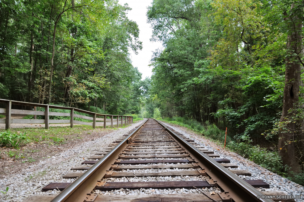 Cuyahoga National Park Track Eisenbahn Eisenbahn Zug Krawatte Transport Schiene Reisen geschweifte Klammer Straße Art und Weise Stahl Verstärker Schienen Titel Landschaft Bahnhof Industrie Reise alt Verkehr Perspektive Entwicklung des ländlichen Wald Gerät Linie Metall Pfad Gras im freien Reise Eisen Baum Bäume Stein im freien Richtung Sommer Transit Tag Holz sonnig Lokomotive Kies Linien Berg landschaftlich Geschwindigkeit Himmel Land Industrielle Park rostige Landschaft Unterstützung Tunnel Horizont Sonnenlicht Fluss Gebäude Schläfer pendeln Plattform weit niemand Verkehr Brücke Muster Technologie Tourismus Szenerie Architektur Kurve Urban track railway railroad train tie transportation rail travel brace road way steel strengthener rails tracks landscape station industry journey old transport perspective rural forest device line metal path grass outdoor trip iron tree trees stone outdoors direction summer transit day wood sunny locomotive gravel lines mountain scenic speed sky country industrial park rusty countryside support tunnel horizon sunlight river building sleeper commute platform far nobody traffic bridge pattern technology tourism scenery architecture curve urban