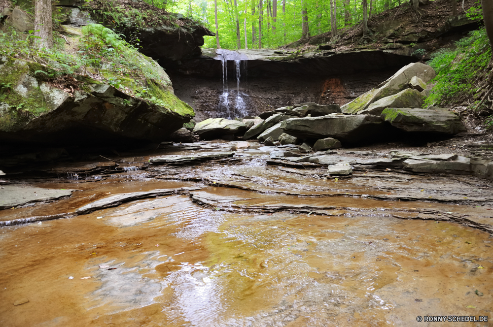 Cuyahoga National Park Fluss Wasser Stream Krokodil Wald Landschaft Stein Berg Fels Wasserfall Baum Park Kanal Creek Frühling Umgebung Strömung Sommer Körper des Wassers Moos im freien Wild natürliche fließende Kaskade friedliche Felsen Szenerie See Reisen Berge platsch geologische formation Höhle fallen Bäume landschaftlich Steine Wildnis im freien nass Gras Tourismus Reinigen gelassene Land Reptil Bewegung nationalen ruhige Hölzer Saison Blatt Pflanze Himmel rasche frisch felsigen Teich Sumpf Reflexion Szene Tal Belaubung Drop Holz sonnig Ökologie glatte frische Luft Schlucht fallen Wolken Ruhe Frieden Landschaft Bach Entwicklung des ländlichen Blätter Wandern Feuchtgebiet Tropischer Garten Geschwindigkeit Urlaub Kühl Stromschnellen Meer Flüssigkeit üppige Erhaltung Küste woody plant Erholung Sonnenlicht Herbst niemand river water stream crocodile forest landscape stone mountain rock waterfall tree park channel creek spring environment flow summer body of water moss outdoor wild natural flowing cascade peaceful rocks scenery lake travel mountains splash geological formation cave fall trees scenic stones wilderness outdoors wet grass tourism clean serene land reptile motion national tranquil woods season leaf plant sky rapid fresh rocky pond swamp reflection scene valley foliage drop wood sunny ecology smooth freshness canyon falling clouds calm peace countryside brook rural leaves hiking wetland tropical garden speed vacation cool rapids sea fluid lush conservation coast woody plant recreation sunlight autumn nobody