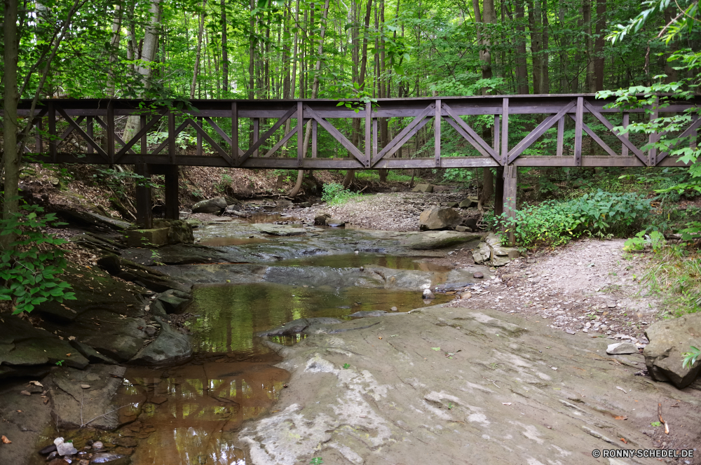 Cuyahoga National Park Sumpf Feuchtgebiet Baum Fluss Landschaft Land Wald Wasser Bäume white mangrove Stream im freien Park See Pflanze Berg Umgebung Sommer Gras Stein natürliche landschaftlich Wild Szenerie woody plant Berge Fels fallen Frühling Herbst ruhige Wildnis Belaubung friedliche Brücke Wasserfall im freien Himmel Entwicklung des ländlichen Reisen Holz Teich vascular plant Hölzer Garten Blatt Saison fließende Reflexion Strömung Frieden Kanal Creek Wandern ruhig Szene Landschaft Reinigen Moos Blätter Körper des Wassers Pflanzen Ruhe Tourismus nass Unterstützung Tal sonnig gelassene Wolken entspannende nationalen Licht Land bunte frisch üppige England frische Luft Schritt Urlaub Sonnenlicht Tag Farben swamp wetland tree river landscape land forest water trees white mangrove stream outdoor park lake plant mountain environment summer grass stone natural scenic wild scenery woody plant mountains rock fall spring autumn tranquil wilderness foliage peaceful bridge waterfall outdoors sky rural travel wood pond vascular plant woods garden leaf season flowing reflection flow peace channel creek hiking quiet scene countryside clean moss leaves body of water plants calm tourism wet support valley sunny serene clouds relaxing national light country colorful fresh lush england freshness step vacation sunlight day colors