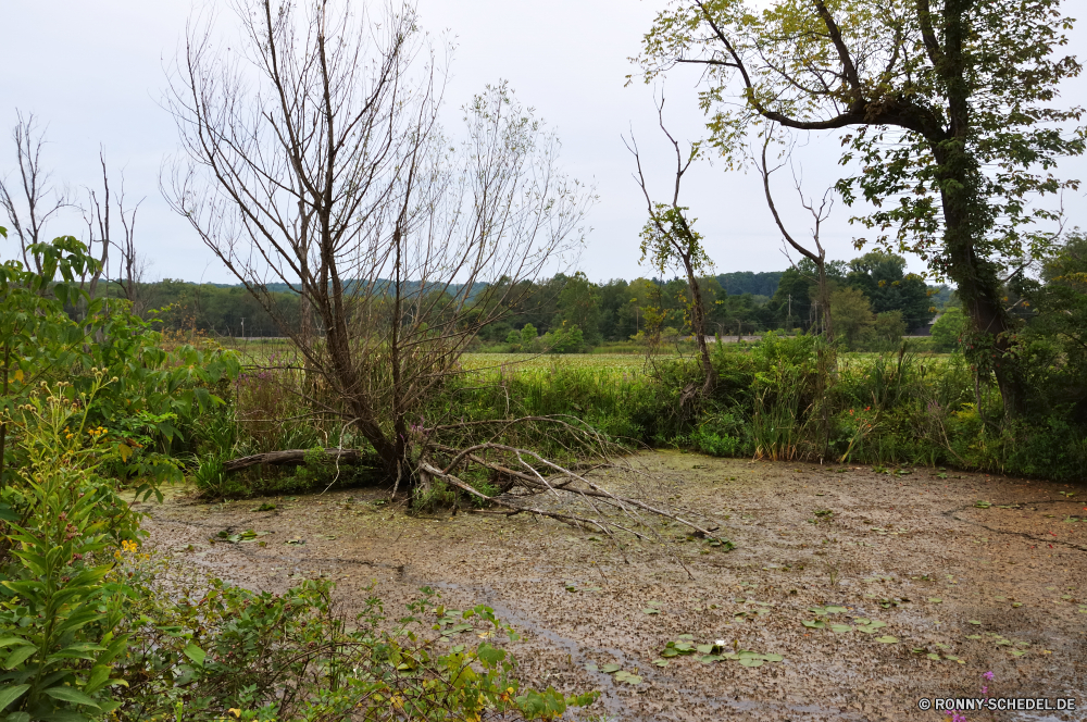 Cuyahoga National Park Baum Landschaft woody plant Wald Gras vascular plant Pflanze Himmel Park Bäume Entwicklung des ländlichen Sommer Herbst Feld Pfad Straße Saison Land Holz landschaftlich Landschaft im freien Frühling Sumpf Land Belaubung Wasser fallen Szenerie im freien Fluss Blätter Wildnis Blatt friedliche See Wiese Feuchtgebiet Hölzer Tag Umgebung sonnig Wolke natürliche ruhige Bauernhof Berge Wolken Flora Sonne Reisen Branch Wanderweg Licht Wetter Landwirtschaft Kraut Wild Zaun Bereich Farbe idyllische Berg Wanderweg saisonale üppige Garten Strauch Szene Knoll Bewuchs ruhig Busch alt England Art und Weise bewölkt Ruhe gelb nationalen Ufer Horizont Schatten bunte Farben Wachstum Leben tree landscape woody plant forest grass vascular plant plant sky park trees rural summer autumn field path road season land wood scenic countryside outdoors spring swamp country foliage water fall scenery outdoor river leaves wilderness leaf peaceful lake meadow wetland woods day environment sunny cloud natural tranquil farm mountains clouds flora sun travel branch trail light weather agriculture herb wild fence area color idyllic mountain footpath seasonal lush garden shrub scene knoll vegetation quiet bush old england way cloudy calm yellow national shore horizon shadow colorful colors growth life