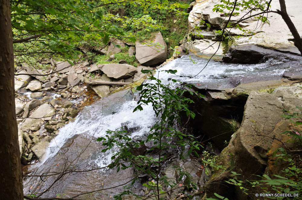 Cuyahoga National Park Baum Landschaft woody plant vascular plant Pflanze Wasser Stein Fluss Garten Wald Park Berg Fels Bäume im freien Stream im freien Umgebung Gras fallen natürliche Blätter Reisen landschaftlich Frühling Belaubung Blatt Wasserfall Wild Pfad Sommer Bereich Steine Saison Felsen Berge See Szenerie nass Entwicklung des ländlichen Herbst Mauer friedliche ruhige Creek Bonsai Holz Teich Hölzer gelassene Terrasse Pflanzen Landschaft Moos Bewuchs Busch Wildnis Kraut Straße alt Land fließende Frieden Flora Wanderweg Szene Struktur außerhalb Strömung Himmel Urlaub Tag hoch Wandern idyllische Reinigen Braun Ökologie Eiche nationalen Kiefer tree landscape woody plant vascular plant plant water stone river garden forest park mountain rock trees outdoor stream outdoors environment grass fall natural leaves travel scenic spring foliage leaf waterfall wild path summer area stones season rocks mountains lake scenery wet rural autumn wall peaceful tranquil creek bonsai wood pond woods serene patio plants countryside moss vegetation bush wilderness herb road old country flowing peace flora trail scene structure outside flow sky vacation day high hiking idyllic clean brown ecology oak national pine