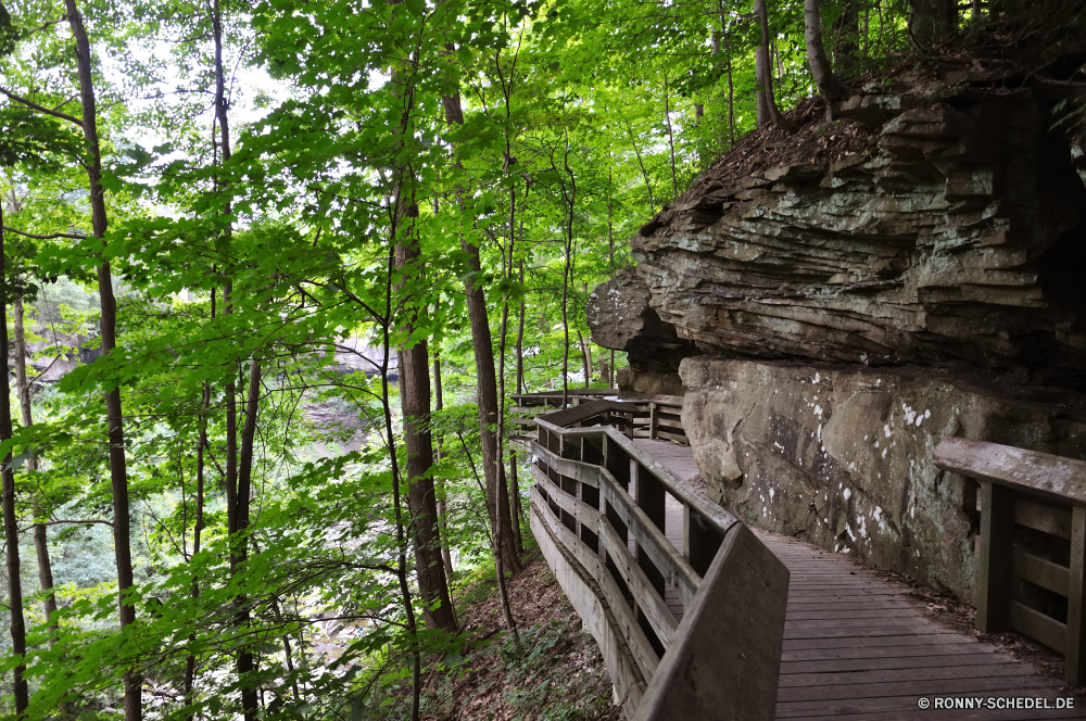 Cuyahoga National Park Baum Wald Landschaft woody plant Bäume Pflanze Holz Umgebung Park Schritt im freien vascular plant natürliche Unterstützung Hölzer Sommer Belaubung Frühling Szenerie Gerät Fluss im freien Blätter Wild Blatt Kofferraum Saison Wildnis Berg Dschungel Gras Reisen Stein Wasser Stream landschaftlich Fels Garten Pfad Regen Entwicklung des ländlichen Tag Ökologie Branch Moos ruhige Wanderweg üppige Drehsperre zu Fuß sonnig Berge Waldland Wandern Bewuchs Szene Tropischer friedliche Flora Licht Sonnenlicht Busch Land frisch Frieden Landschaft fallen aufrecht nass Herbst Land Abenteuer Pflanzen white mangrove Birke strukturelle Mitglied nationalen alt Straße Creek aus Holz Wachstum Brücke Wanderung durch Farbe Tourismus See Sonne Rinde Wanderweg Leben Himmel Klima Sonnenschein grün niemand tree forest landscape woody plant trees plant wood environment park step outdoor vascular plant natural support woods summer foliage spring scenery device river outdoors leaves wild leaf trunk season wilderness mountain jungle grass travel stone water stream scenic rock garden path rain rural day ecology branch moss tranquil trail lush stile walk sunny mountains woodland hiking vegetation scene tropical peaceful flora light sunlight bush country fresh peace countryside fall upright wet autumn land adventure plants white mangrove birch structural member national old road creek wooden growth bridge hike through color tourism lake sun bark footpath life sky climate sunshine greenery nobody