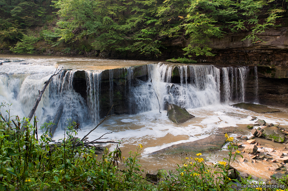 Cuyahoga National Park Dam Barrier Obstruktion Fluss Wasser Struktur Wald Wasserfall Landschaft Stream Kanal Fels Körper des Wassers Park Berg Baum landschaftlich Stein Reisen im freien Umgebung fließende Bäume im freien Wildnis Kaskade fällt Strömung fallen Szenerie Moos Felsen Creek See nass Frühling Sommer Berge nationalen Hölzer natürliche fallen Bewegung ruhige Pflanze Wild Belaubung Tourismus friedliche Blatt Szene üppige Teich Himmel Land gelassene Wasserfälle Holz Landschaften Tropischer frische Luft Entwicklung des ländlichen Herbst Gras platsch macht Reinigen frisch Tal rasche Flüsse Brücke Steine glatte Urlaub Reflexion Land Ufer Schwall Gelände felsigen Klippe Ruhe Landschaft Erholung dam barrier obstruction river water structure forest waterfall landscape stream channel rock body of water park mountain tree scenic stone travel outdoor environment flowing trees outdoors wilderness cascade falls flow fall scenery moss rocks creek lake wet spring summer mountains national woods natural falling motion tranquil plant wild foliage tourism peaceful leaf scene lush pond sky country serene waterfalls wood scenics tropical freshness rural autumn grass splash power clean fresh valley rapid rivers bridge stones smooth vacation reflection land shore torrent terrain rocky cliff calm countryside recreation