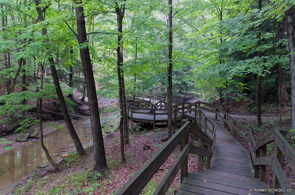 Cuyahoga National Park Wald Baum Brücke Hängebrücke Landschaft Bäume Park Struktur Pfad Schritt im freien Holz Umgebung Reisen Unterstützung natürliche Szenerie Gras Sommer Fluss Berg Belaubung Blätter Pflanze Frühling Wasser Entwicklung des ländlichen Hölzer Gerät woody plant landschaftlich Wandern Wild im freien Wanderweg fallen Straße Herbst Berge Blatt Wildnis Stream zu Fuß Saison aus Holz Garten Fels Moos Wanderung vascular plant Stein friedliche Landschaft Dschungel durch Parkbank sonnig Sitzbank Tag Pflanzen Sonnenlicht Kofferraum Land außerhalb Licht Tourismus alt ruhige Himmel Sonne Creek Sitz Bewuchs Tropischer frisch See Frieden Branch white mangrove nass Waldland Gehweg Farbe Wasserfall üppige Abenteuer Fuß Regen Track Ökologie nationalen Flora Zaun Stoffwechselweg forest tree bridge suspension bridge landscape trees park structure path step outdoor wood environment travel support natural scenery grass summer river mountain foliage leaves plant spring water rural woods device woody plant scenic hiking wild outdoors trail fall road autumn mountains leaf wilderness stream walk season wooden garden rock moss hike vascular plant stone peaceful countryside jungle through park bench sunny bench day plants sunlight trunk country outside light tourism old tranquil sky sun creek seat vegetation tropical fresh lake peace branch white mangrove wet woodland walkway color waterfall lush adventure walking rain track ecology national flora fence pathway