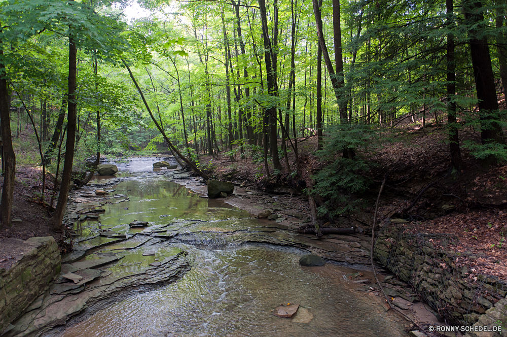 Cuyahoga National Park Sumpf Feuchtgebiet Land Wald Fluss Baum Landschaft Wasser Park Stream Umgebung natürliche Frühling im freien Bäume Sommer Belaubung Gras Pflanze Berg landschaftlich Szenerie Stein Fels Entwicklung des ländlichen Blatt See Kanal fallen Wild im freien Herbst Blätter Hölzer Wildnis Moos ruhige Saison Berge Körper des Wassers friedliche Szene üppige sonnig Himmel fließende Holz Creek Wasserfall Landschaft Reisen Sonnenlicht Licht Reinigen Reflexion Strömung woody plant Straße nass vascular plant Sonne Frieden frische Luft bunte Teich Farben frisch Tropischer Tag Garten glatte Flora Dschungel klar England Farbe Pfad Pflanzen Schatten Land Wandern Bewuchs Busch niemand Klima Brücke Regen Felsen Wolken platsch aquatische Ökologie nationalen Erholung Wachstum durch Wanderweg Bewegung ruhig Tal idyllische Tourismus Urlaub swamp wetland land forest river tree landscape water park stream environment natural spring outdoor trees summer foliage grass plant mountain scenic scenery stone rock rural leaf lake channel fall wild outdoors autumn leaves woods wilderness moss tranquil season mountains body of water peaceful scene lush sunny sky flowing wood creek waterfall countryside travel sunlight light clean reflection flow woody plant road wet vascular plant sun peace freshness colorful pond colors fresh tropical day garden smooth flora jungle clear england color path plants shadow country hiking vegetation bush nobody climate bridge rain rocks clouds splash aquatic ecology national recreation growth through trail motion quiet valley idyllic tourism vacation