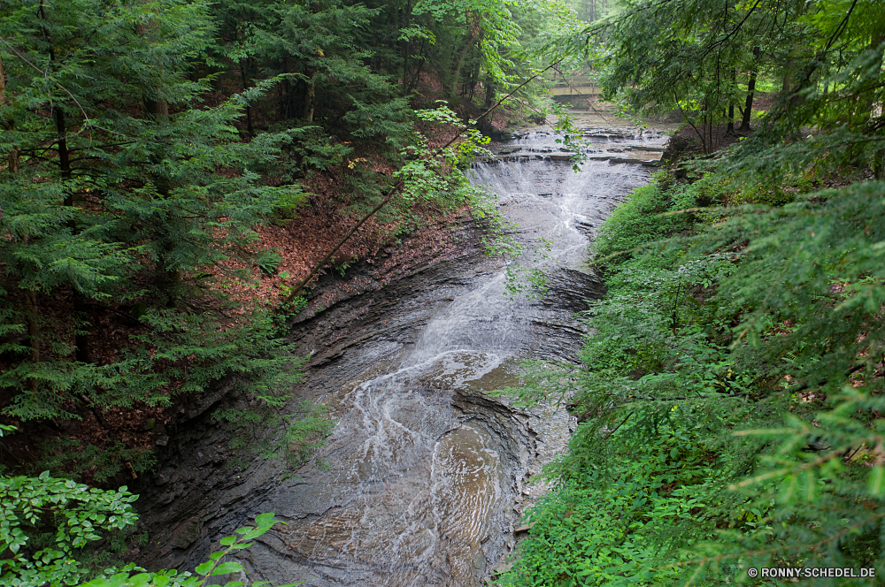 Cuyahoga National Park Kanal Aufstieg Wald Landschaft Steigung Körper des Wassers Baum Bäume Fluss Gras Wasser Berg Sommer Park landschaftlich Pfad Entwicklung des ländlichen Szenerie im freien Berge im freien natürliche Frühling Straße Umgebung Wanderweg Landschaft Hölzer Pflanze Land Belaubung Wildnis Himmel Blatt Holz Fels friedliche Reisen Stream Wild Tal ruhige Stein Feld Tag Sonnenlicht Sonne sonnig Garten Land Frieden Creek Wandern Blätter Strömung Saison fallen Wiese Busch Szene Licht Tourismus Wanderweg üppige vascular plant zu Fuß Paradies Felsen außerhalb Hügel Wolken nass Spur Wachstum Herbst Wanderung Wasserfall Landschaften Urlaub Fuß Brücke Tropischer idyllische Entspannen Sie sich Ruhe Urlaub Schlucht woody plant klar frisch Moos Dschungel durch ruhig Art und Weise frische Luft Pflanzen See Tourist Erholung Schatten Flora Track Landwirtschaft niemand channel ascent forest landscape slope body of water tree trees river grass water mountain summer park scenic path rural scenery outdoor mountains outdoors natural spring road environment trail countryside woods plant country foliage wilderness sky leaf wood rock peaceful travel stream wild valley tranquil stone field day sunlight sun sunny garden land peace creek hiking leaves flow season fall meadow bush scene light tourism footpath lush vascular plant walk paradise rocks outside hill clouds wet lane growth autumn hike waterfall scenics holiday walking bridge tropical idyllic relax calm vacation canyon woody plant clear fresh moss jungle through quiet way freshness plants lake tourist recreation shadow flora track agriculture nobody