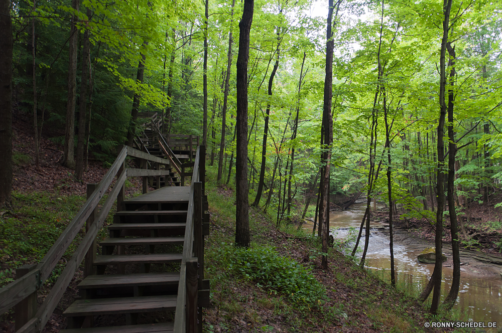 Cuyahoga National Park Wald Schritt Unterstützung Baum Gerät Landschaft Bäume Brücke Hängebrücke Park im freien Umgebung Holz Blätter Pfad Hölzer Sommer natürliche Struktur Belaubung landschaftlich Szenerie Wandern Reisen Entwicklung des ländlichen Pflanze Fluss Gras Wildnis Wild Frühling Herbst zu Fuß Blatt Berg Wanderweg im freien Straße Berge Saison fallen Wasser Wanderung sonnig Kofferraum Branch Sonnenlicht friedliche Waldland ruhige Dschungel ruhig Stream Sonne Licht Stein Moos Fels Pflanzen frisch Garten Track Tag Frieden Flora Tourismus durch Szene Ökologie Landschaft Wanderweg Art und Weise aus Holz Kiefer Fuß Barrier nationalen Strahl Farbe Creek Land Nebel üppige hoch Bewuchs Busch Strahl Himmel Leuchten Ruhe am Morgen Schatten Farben bunte Birke Gehweg Zweige außerhalb Tropischer Regen Umwelt- Reinigen frische Luft Erholung nass Bereich Stoffwechselweg Wachstum woody plant forest step support tree device landscape trees bridge suspension bridge park outdoor environment wood leaves path woods summer natural structure foliage scenic scenery hiking travel rural plant river grass wilderness wild spring autumn walk leaf mountain trail outdoors road mountains season fall water hike sunny trunk branch sunlight peaceful woodland tranquil jungle quiet stream sun light stone moss rock plants fresh garden track day peace flora tourism through scene ecology countryside footpath way wooden pine walking barrier national beam color creek country fog lush high vegetation bush ray sky shine calm morning shadow colors colorful birch walkway branches outside tropical rain environmental clean freshness recreation wet area pathway growth woody plant