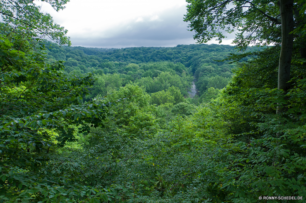 Cuyahoga National Park Baum woody plant vascular plant Wald Landschaft Pflanze Berg Park Himmel Berge Gras Bäume Sommer im freien Frühling Fluss Reisen Wildnis Umgebung natürliche Blatt Hügel Entwicklung des ländlichen Wasser Kiefer landschaftlich Tag Belaubung Fels Wolke ruhige Feld Blätter Szenerie Wiese im freien Sonne nationalen Tal Wild Szene sonnig Busch friedliche Landschaft Saison Tanne Flora Tourismus Herbst Wolken Stein Holz Wanderweg üppige Wandern Land Bereich Pfad See Strauch Hölzer Garten Bereich Land Landschaften Pflanzen Frieden Straße Kraut Sonnenlicht Landwirtschaft Hügel außerhalb ruhig Tropischer Linden frische Luft Nach oben southern beech fallen frisch Wachstum tree woody plant vascular plant forest landscape plant mountain park sky mountains grass trees summer outdoors spring river travel wilderness environment natural leaf hill rural water pine scenic day foliage rock cloud tranquil field leaves scenery meadow outdoor sun national valley wild scene sunny bush peaceful countryside season fir flora tourism autumn clouds stone wood trail lush hiking country area path lake shrub woods garden range land scenics plants peace road herb sunlight agriculture hills outside quiet tropical linden freshness top southern beech fall fresh growth