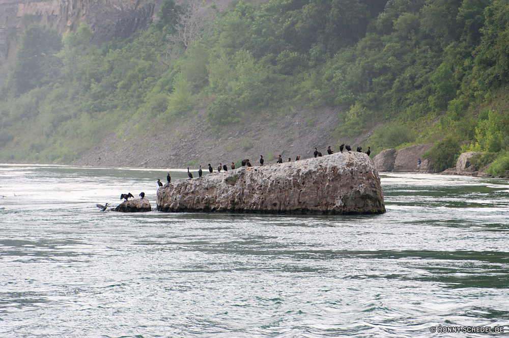 Niagara Falls Wrack Schiff Schiff Schiffswrack Handwerk Meer Wasser Ozean Strand Küste Küste Landschaft Fahrzeug Fels Himmel Insel Ufer Boot Bucht Reisen Berg Sand Stein Urlaub Wolken Sommer Welle Fluss Wellen Tourismus Felsen Berge Klippe Szene Sonne Szenerie Horizont seelandschaft Wellenbrecher Stadt Hafen landschaftlich im freien am Meer Haus felsigen Baum Urlaub Resort Wolke Tag ruhige Licht Türkis Wald Küstenlinie Gezeiten Küste Gebäude Surf Angeln sonnig Süden Hügel Entspannen Sie sich im freien See friedliche Tourist Umgebung Wahrzeichen Bäume Förde Leuchtturm Meeresküste klar Norden Barrier Reise Stadt Wetter Reflexion natürliche Architektur Sturm Tropischer Steine Land Sonnenlicht Gras wreck ship vessel shipwreck craft sea water ocean beach coast coastline landscape vehicle rock sky island shore boat bay travel mountain sand stone vacation clouds summer wave river waves tourism rocks mountains cliff scene sun scenery horizon seascape breakwater city harbor scenic outdoors seaside house rocky tree holiday resort cloud day tranquil light turquoise forest shoreline tide coastal building surf fishing sunny south hill relax outdoor lake peaceful tourist environment landmark trees fjord lighthouse seashore clear north barrier journey town weather reflection natural architecture storm tropical stones land sunlight grass