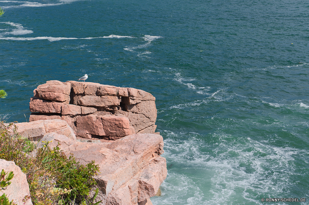 Acadia National Park Klippe geologische formation Meer Ozean Küste Küste Strand Landschaft Wasser Fels Reisen Ufer Stein Sommer Himmel Insel Tourismus Urlaub landschaftlich Sonne Urlaub Welle Bucht Felsen Küstenlinie Sand seelandschaft Wellenbrecher Wellen am Meer felsigen Küste Barrier Szene Szenerie Wolke Berg Klippen sonnig im freien Vorgebirge Tourist Horizont Entspannen Sie sich Hügel Gezeiten Wolken friedliche Obstruktion im freien natürliche Höhe Baum Resort Ziel Sonnenlicht ruhige Sonnenuntergang natürliche Surf Paradies Urlaub Berge Pazifik Schwimmen Türkis Landschaften Steine Tag Süden Tropischer Struktur Reflexion klar hoch Reiseziele Farbe Licht Gras Seetang Inseln Meeresküste Panorama idyllische Urlaub Pflanze Wetter Saison cliff geological formation sea ocean coast coastline beach landscape water rock travel shore stone summer sky island tourism vacation scenic sun holiday wave bay rocks shoreline sand seascape breakwater waves seaside rocky coastal barrier scene scenery cloud mountain cliffs sunny outdoor promontory tourist horizon relax hill tide clouds peaceful obstruction outdoors natural elevation tree resort destination sunlight tranquil sunset natural surf paradise vacations mountains pacific swim turquoise scenics stones day south tropical structure reflection clear high destinations color light grass seaweed islands seashore panorama idyllic holidays plant weather season