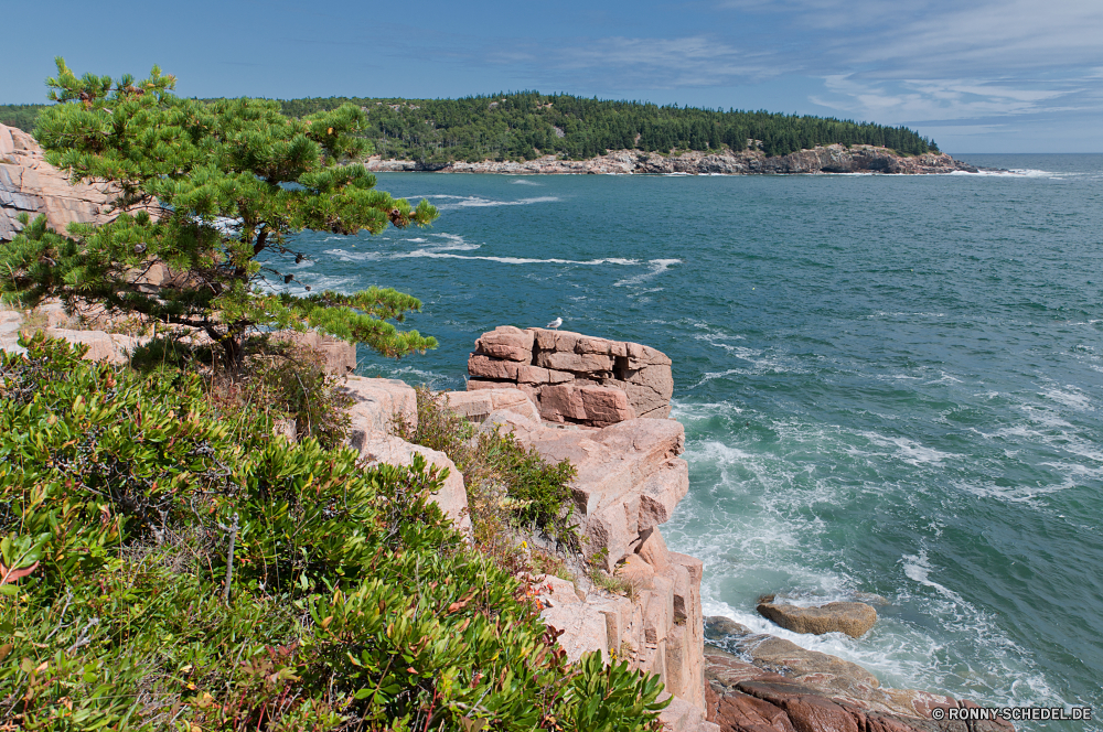 Acadia National Park Meer Ozean Klippe geologische formation Küste Vorgebirge Strand Küste Wasser natürliche Höhe Landschaft Reisen Fels Urlaub Ufer Insel Sommer Himmel Bucht Küstenlinie Urlaub Sand Barrier Sonne Tourismus Stein Wellenbrecher Felsen landschaftlich Tourist Berg Festung felsigen Wolke Obstruktion Welle seelandschaft Baum Szene Hügel Klippen sonnig am Meer Wellen Horizont klar Tropischer Struktur Szenerie Entspannen Sie sich Panorama Ziel Paradies Urlaub natürliche Gezeiten Körper des Wassers Park im freien Resort Berge Wolken Kap Surf Boot ruhige Sonnenlicht Küste Tag Süden Rest Stadt Wahrzeichen im freien Pazifik Steine Ruhe Rau Wald Inseln Hafen Schwimmen Reiseziele Palm Urlaub warm friedliche exotische Turm Schloss Wetter Sonnenuntergang Bäume Architektur sea ocean cliff geological formation coast promontory beach coastline water natural elevation landscape travel rock vacation shore island summer sky bay shoreline holiday sand barrier sun tourism stone breakwater rocks scenic tourist mountain fortress rocky cloud obstruction wave seascape tree scene hill cliffs sunny seaside waves horizon clear tropical structure scenery relax panorama destination paradise vacations natural tide body of water park outdoor resort mountains clouds cape surf boat tranquil sunlight coastal day south rest city landmark outdoors pacific stones calm rough forest islands harbor swim destinations palm holidays warm peaceful exotic tower castle weather sunset trees architecture