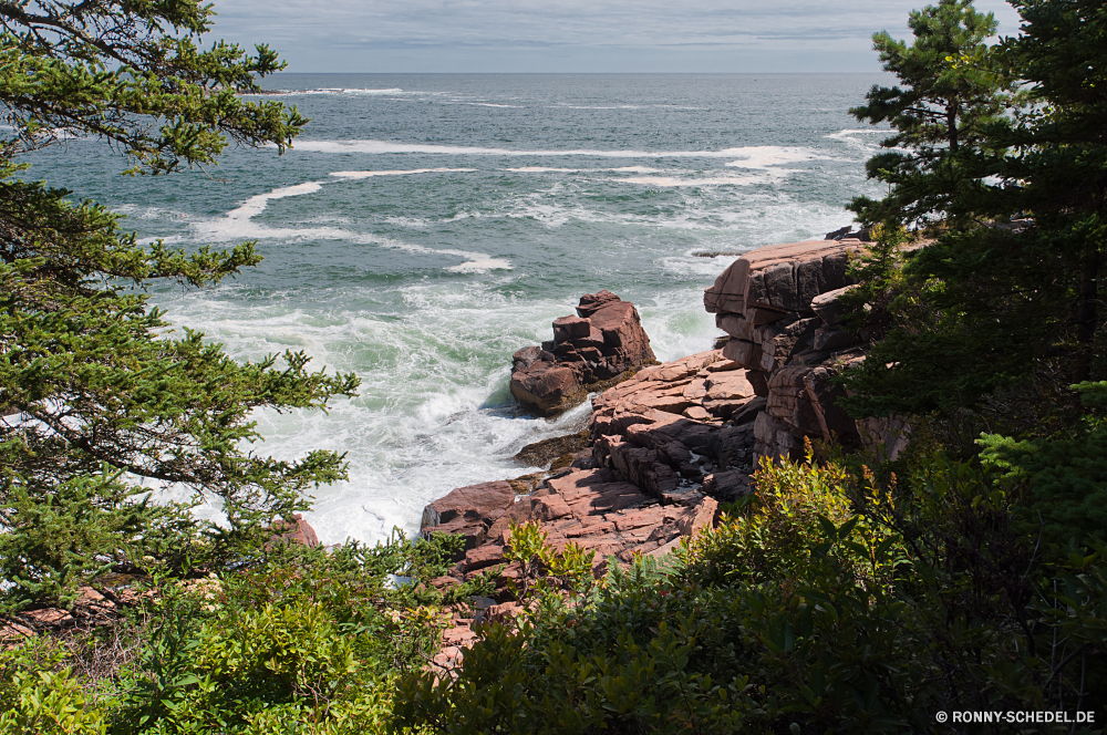 Acadia National Park Vorgebirge natürliche Höhe Ozean Meer Küste geologische formation Strand Wasser Küste Klippe Ufer Landschaft Fels Küstenlinie Felsen Insel Urlaub Bucht Reisen Himmel Sommer Kap landschaftlich Sand Welle Tourismus Sonne felsigen Urlaub seelandschaft Wellen Stein Baum Berg Szenerie am Meer Wolke Hügel Paradies Tourist Pazifik Horizont Ziel Szene Klippen im freien Gezeiten Küste Park sonnig Tropischer Wolken Bäume Inseln Surf klar Körper des Wassers Urlaub Süden natürliche Entspannen Sie sich Wald ruhige Wetter Meeresküste Steine Urlaub friedliche im freien Gras Bucht Pflanze Barrier Panorama England Resort Berge Umgebung See Kiefer promontory natural elevation ocean sea coast geological formation beach water coastline cliff shore landscape rock shoreline rocks island vacation bay travel sky summer cape scenic sand wave tourism sun rocky holiday seascape waves stone tree mountain scenery seaside cloud hill paradise tourist pacific horizon destination scene cliffs outdoor tide coastal park sunny tropical clouds trees islands surf clear body of water vacations south natural relax forest tranquil weather seashore stones holidays peaceful outdoors grass cove plant barrier panorama england resort mountains environment lake pine