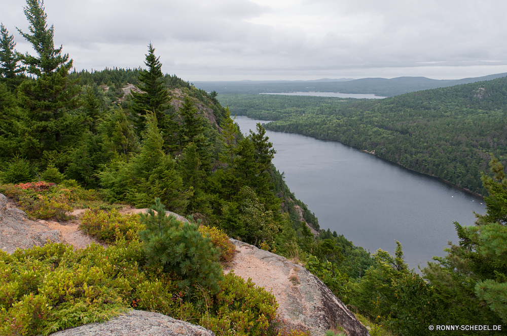 Acadia National Park Landschaft Wasser Berg Kanal Meer Fluss Reisen Wald Küste Himmel landschaftlich Körper des Wassers Hügel Vorgebirge Fels geologische formation Klippe Baum Küste Ozean Sommer See Szenerie Wolke Stein natürliche Höhe Tourismus Berge Kap Wildnis Bäume Felsen Strand Hochland im freien Wolken im freien Urlaub Insel Park Szene Ufer Sonne felsigen Tal Stechginster Gras Strauch Entwicklung des ländlichen hoch sonnig Küstenlinie Tag Straße Bereich Hügel Sand Landschaften Urlaub Horizont Grat Landschaft Wetter Klippen Reflexion Aufstieg Stream Land Reise woody plant Steigung nationalen natürliche Spitze Pflanze seelandschaft Panorama am Meer Bucht Tourist am See Herbst Frühling Wild niemand Tropischer Steine idyllische Ziel Urlaub Umgebung Land Ruhe Wiese landscape water mountain channel sea river travel forest coast sky scenic body of water hill promontory rock geological formation cliff tree coastline ocean summer lake scenery cloud stone natural elevation tourism mountains cape wilderness trees rocks beach highland outdoors clouds outdoor vacation island park scene shore sun rocky valley gorse grass shrub rural high sunny shoreline day road range hills sand scenics holiday horizon ridge countryside weather cliffs reflection ascent stream country journey woody plant slope national natural peak plant seascape panorama seaside bay tourist lakeside autumn spring wild nobody tropical stones idyllic destination holidays environment land calm meadow