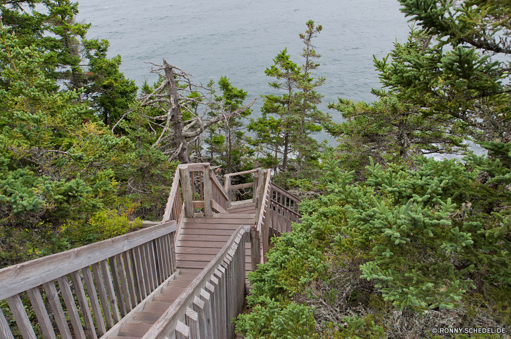 Acadia National Park Hängebrücke Brücke Struktur Landschaft Baum Wald Bäume Pfad Sommer Garten Wasser Park Gras im freien Straße Holz Himmel landschaftlich im freien Art und Weise Reisen Entwicklung des ländlichen Fluss aus Holz Wanderweg Szenerie Berg Architektur Pflanze Umgebung Gehweg natürliche Track außerhalb Schritt zu Fuß Land sonnig Zaun Frühling Stein Blätter Fels Reling Tropischer Wolken durch Sonne Barrier Hügel Blatt Unterstützung Feld Haus Landschaft Ozean Horizont Küste Sonnenlicht Herbst Wildnis Wandern Tag Busch Hölzer Meer Saison Gebäude Belaubung See Urlaub ruhige Stoffwechselweg Mauer niemand alt Fuß Pflanzen Berge Licht Insel friedliche Flora Gerät suspension bridge bridge structure landscape tree forest trees path summer garden water park grass outdoor road wood sky scenic outdoors way travel rural river wooden trail scenery mountain architecture plant environment walkway natural track outside step walk country sunny fence spring stone leaves rock railing tropical clouds through sun barrier hill leaf support field house countryside ocean horizon coast sunlight autumn wilderness hiking day bush woods sea season building foliage lake vacation tranquil pathway wall nobody old walking plants mountains light island peaceful flora device